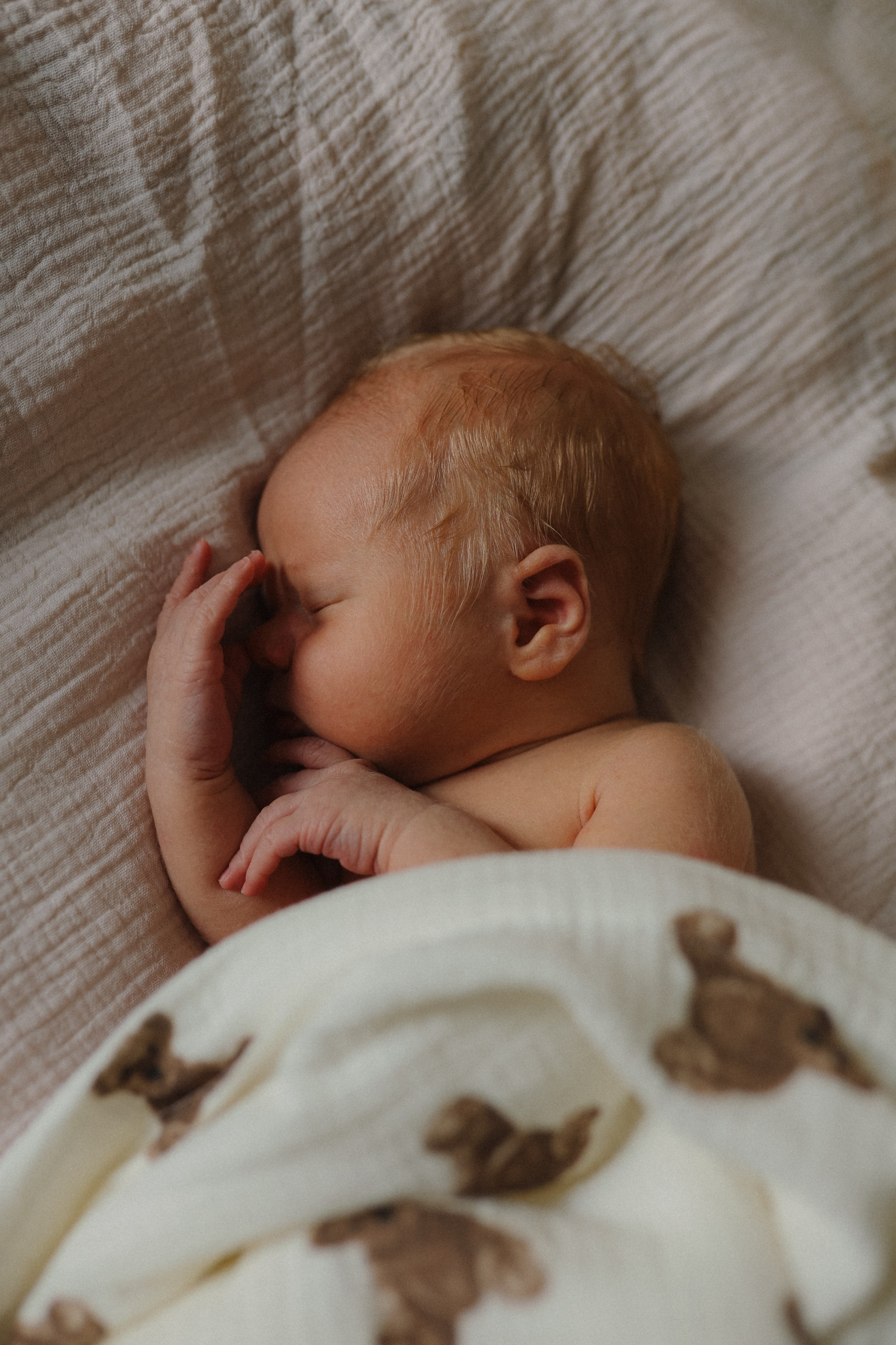Выписка Арсения❤️. Фотограф на роды в Санкт-Петербурге, семейный, нью-борн Алиса Хрекова