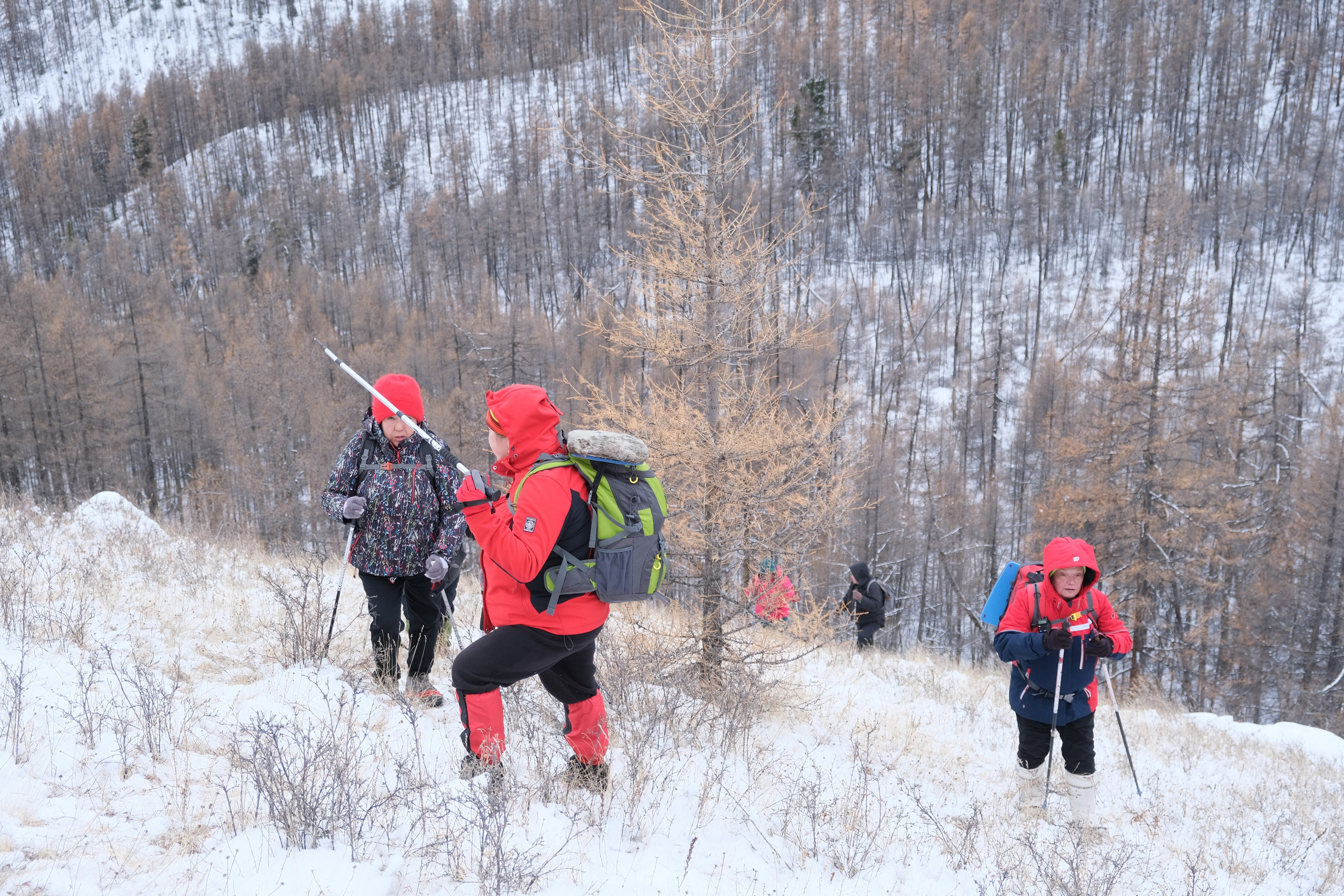 Орлик. Сэсэг — дочь степи | семейный фотограф