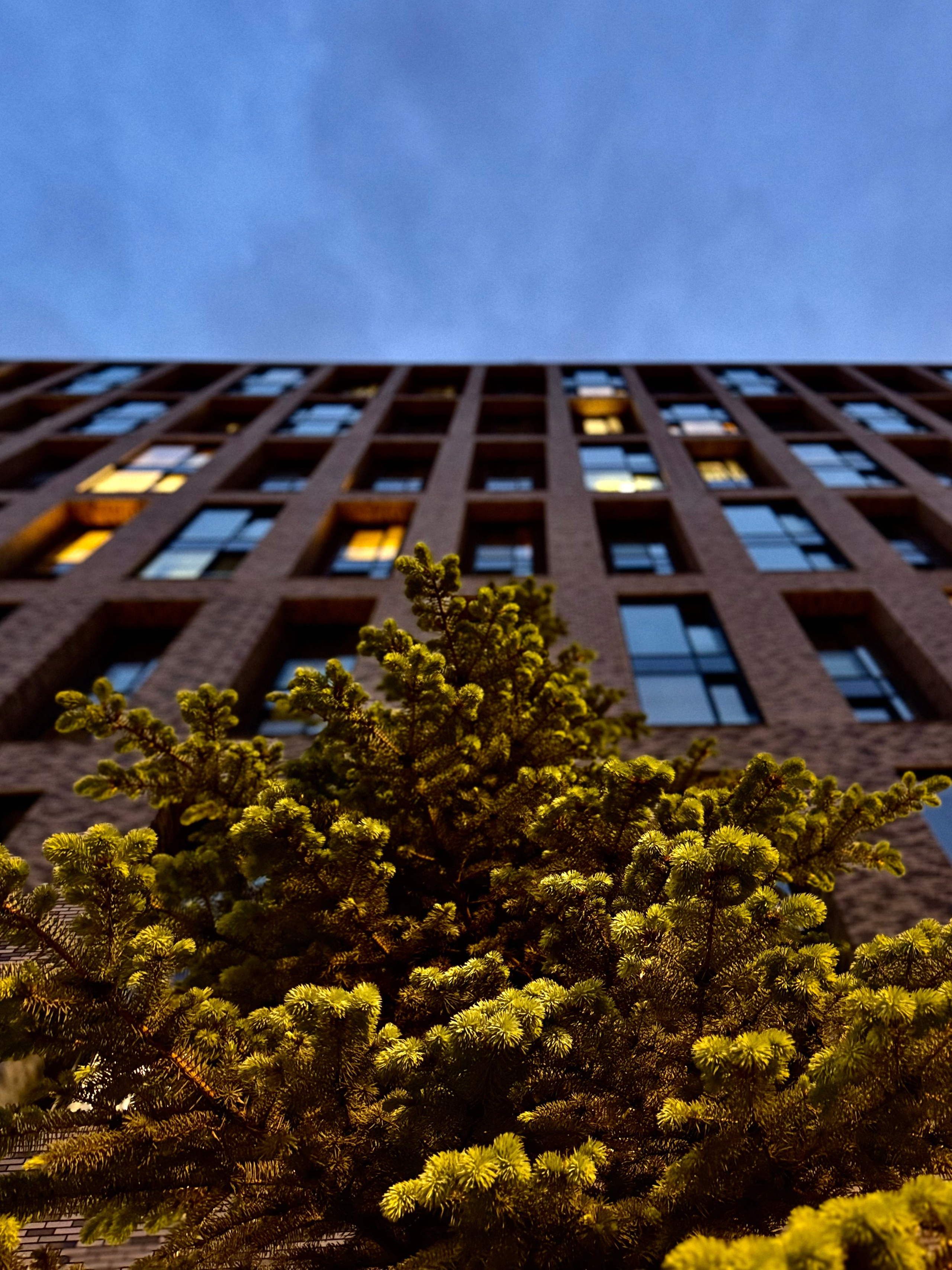 Храмы и здания. Фотограф и художник в Москве Евгения Нюнина