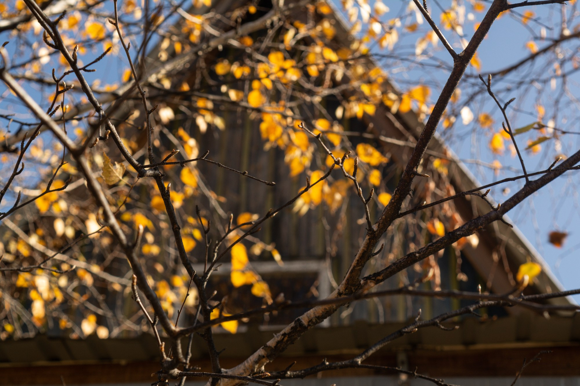 Разное. Репортажный фотограф г. Чита