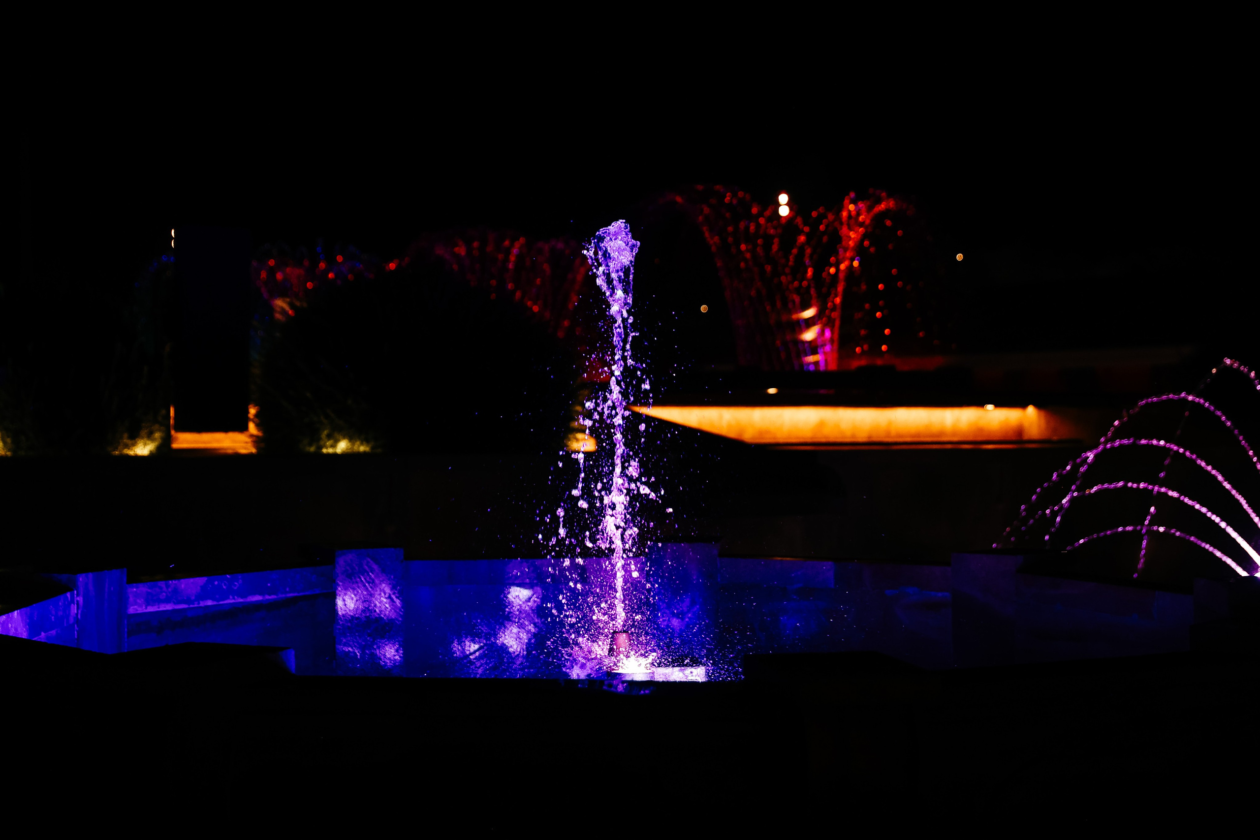 Форум Традиций. Omar Shapiev