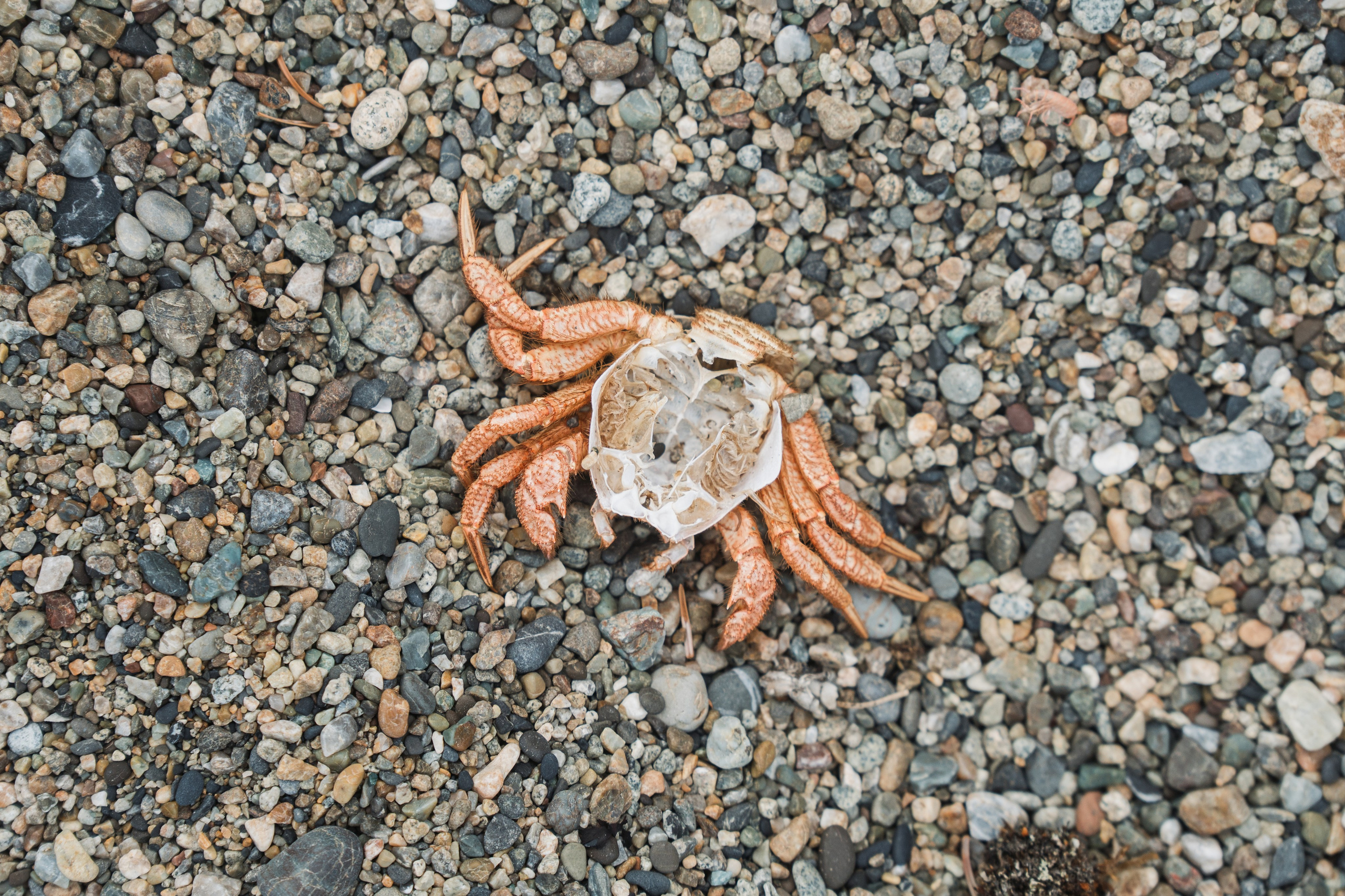 Сахалин. Gusarov Travel Photography