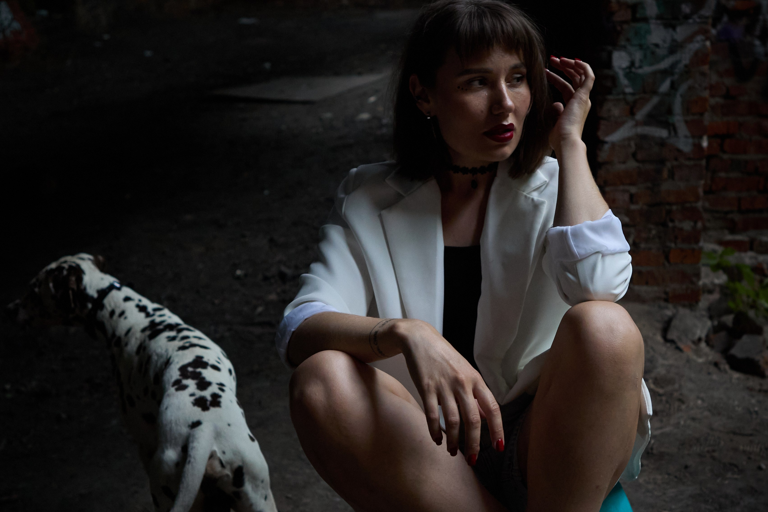 фотосессия с собакой