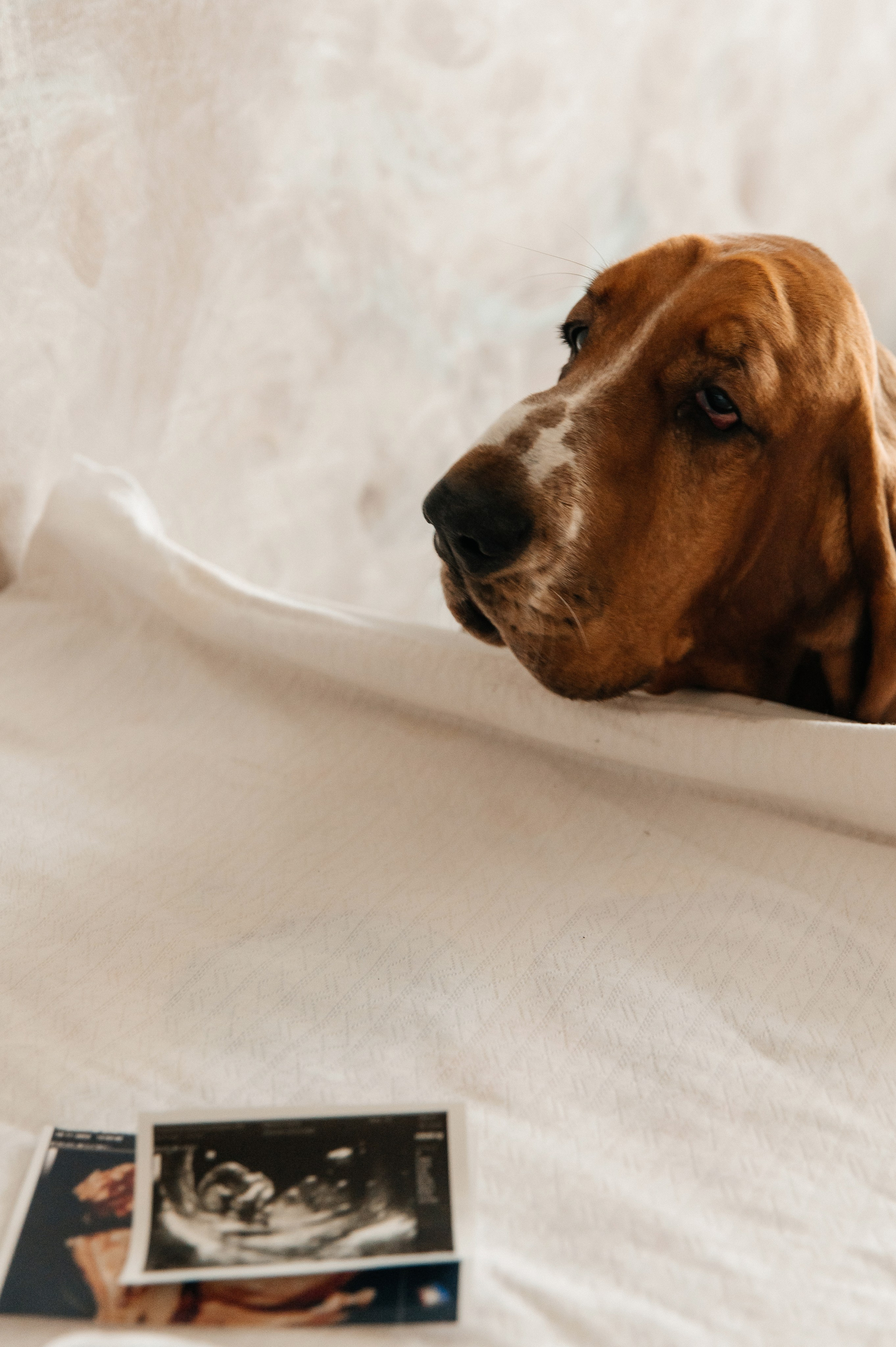 HOME. Мария — Свадебный фотограф