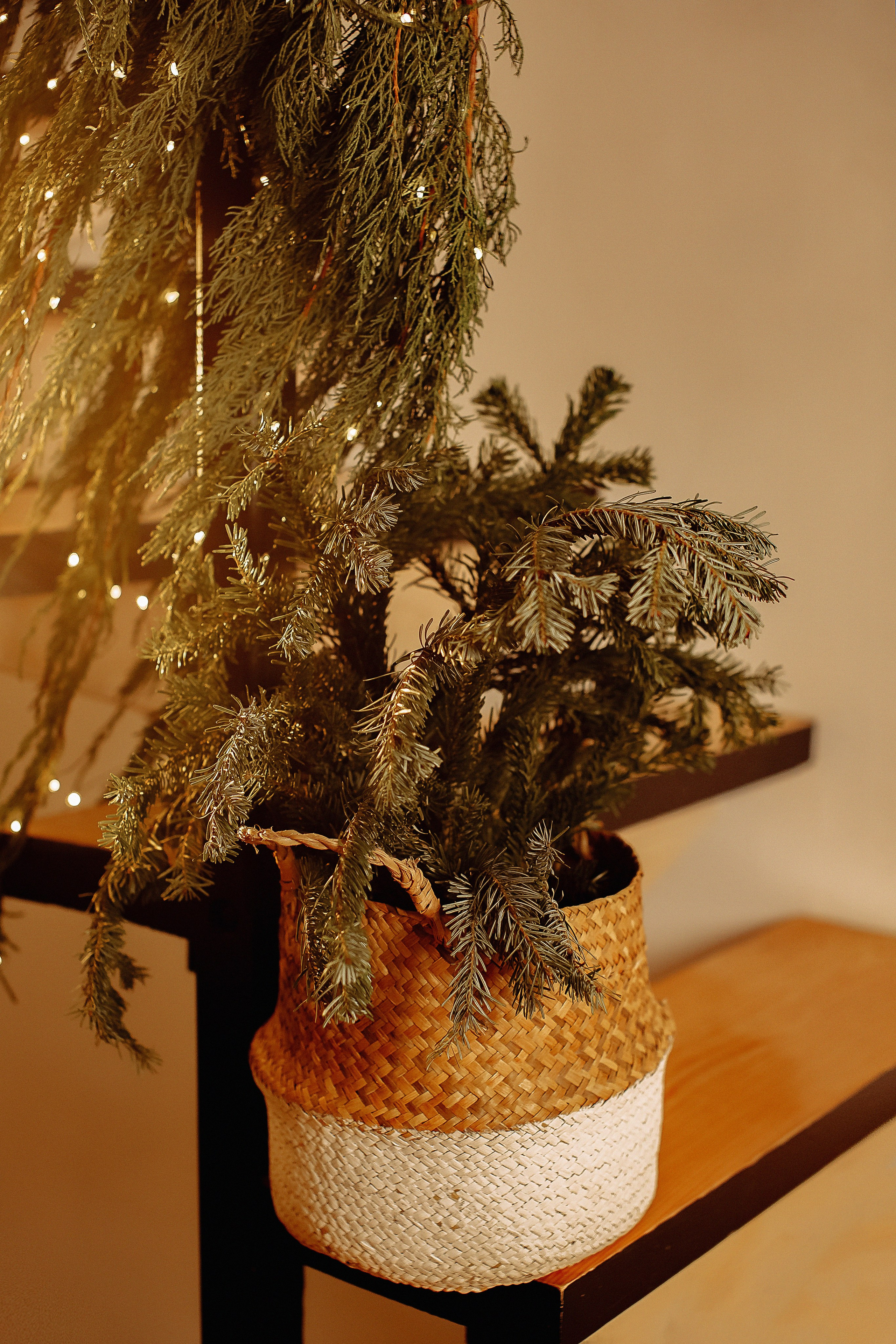 Эльвира. Свадебный и семейный фотограф/видеограф в Краснодаре Наталья Осинская