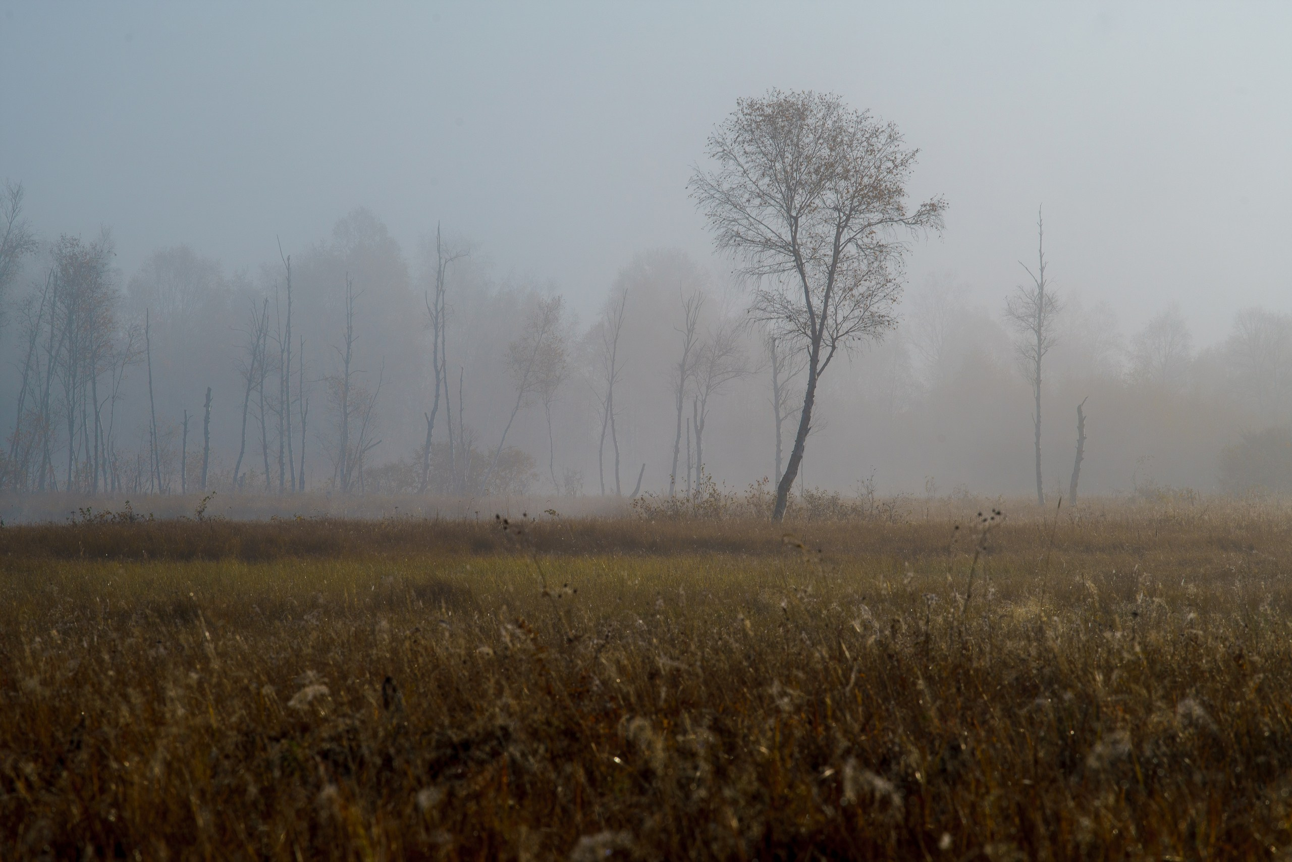 Бурятия. Фотограф в Красноярске Нерозя Александр. Пейзаж, природа, портрет