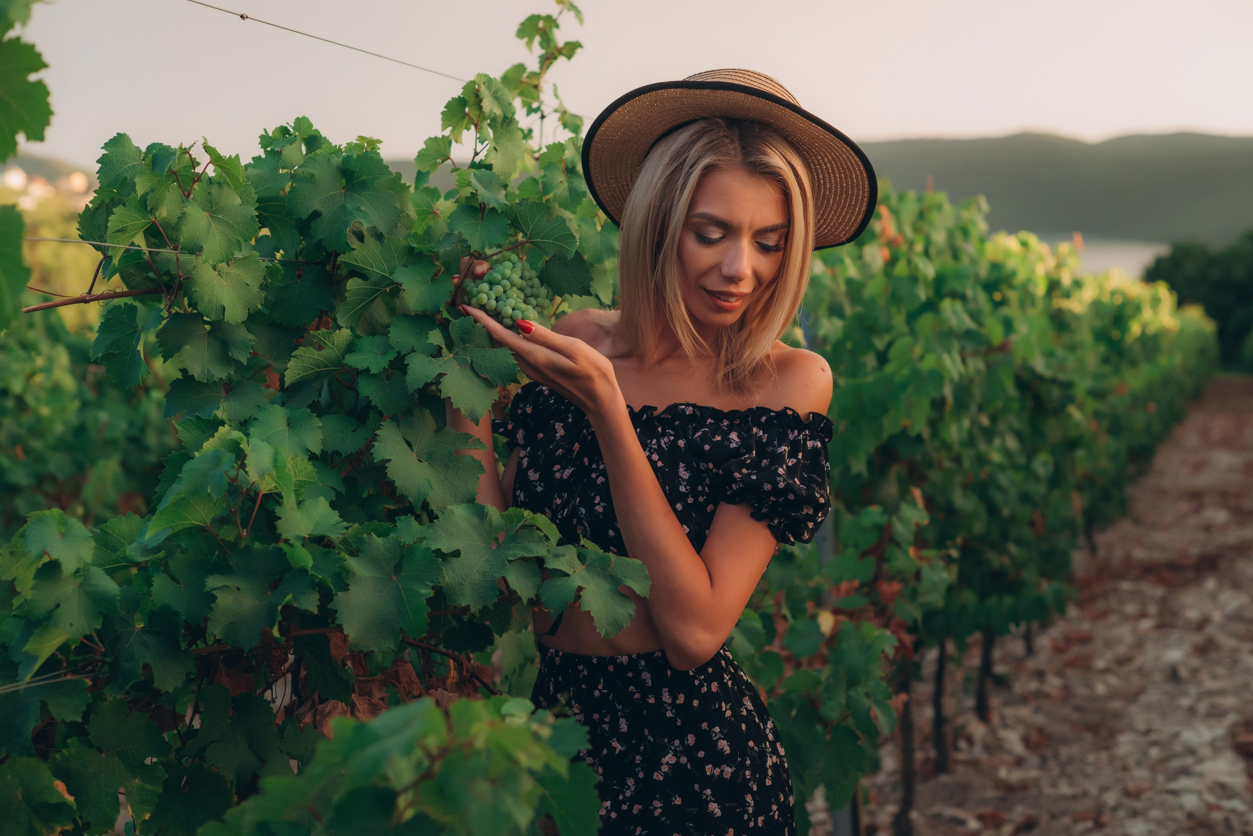 Виноградники. Фотографы Ивановы Краснодарский край