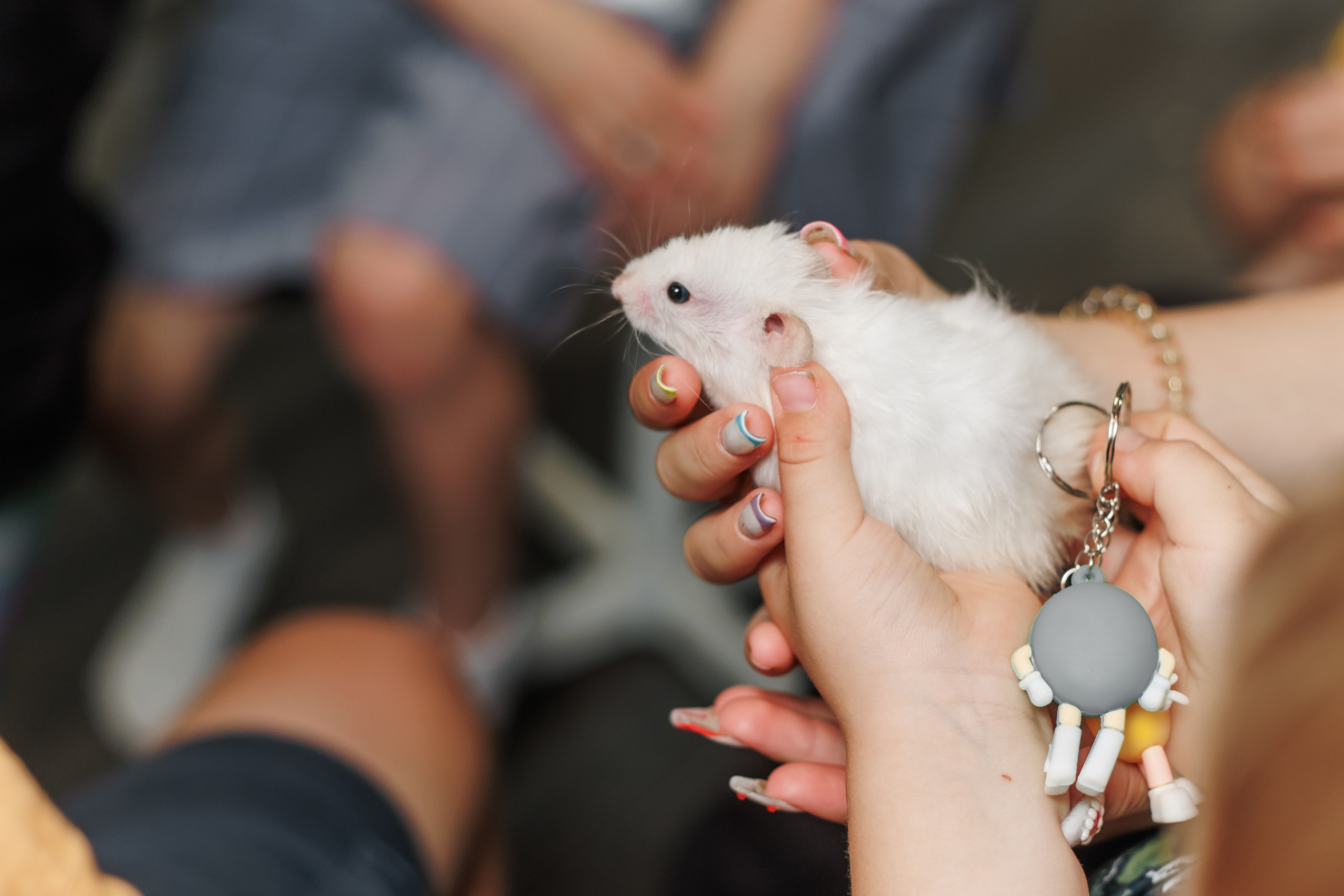 Детский День Рождения. Репортажный фотограф. Москва. Алина Ланская