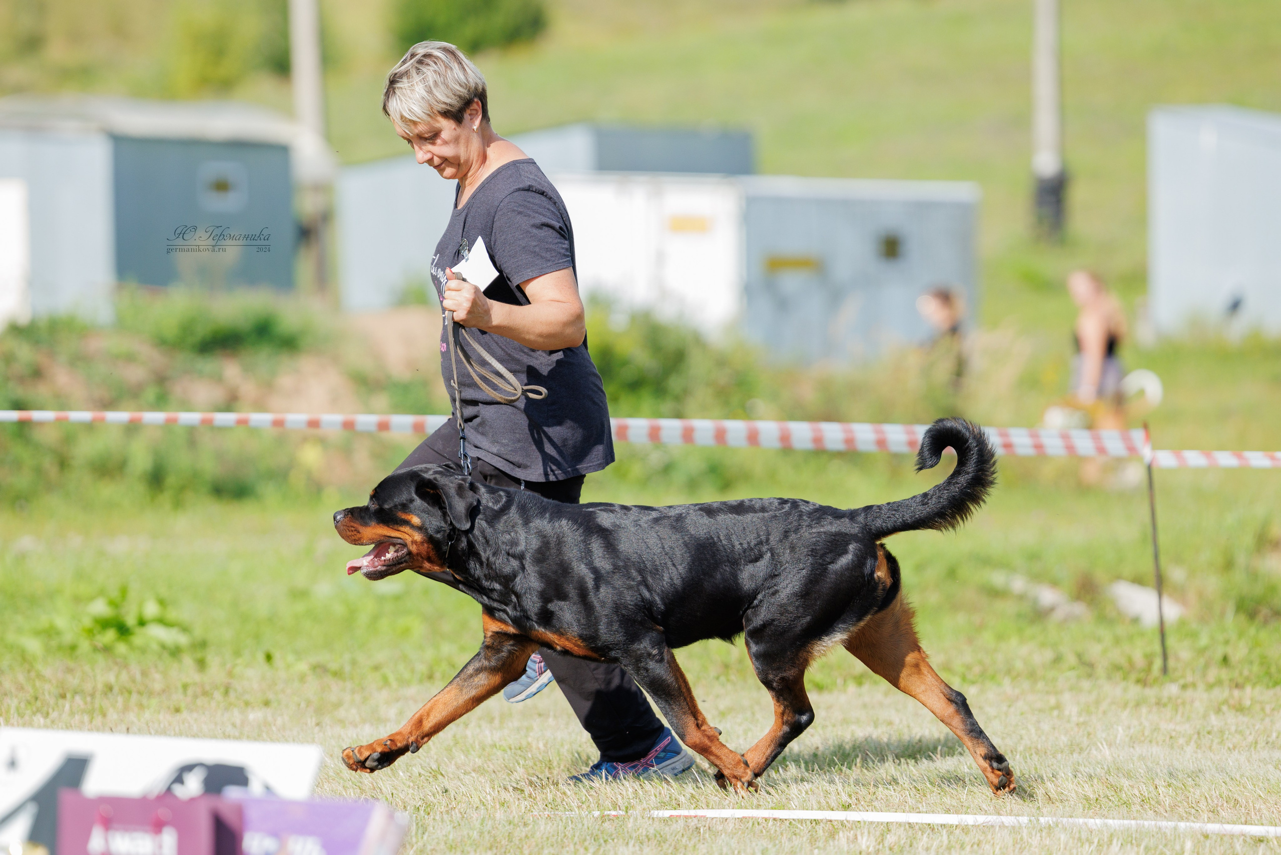 Рязань-Ховрино 10-11.08.2024 3хмоно ротвейлеров. Фотограф-анималист Юлия Германика