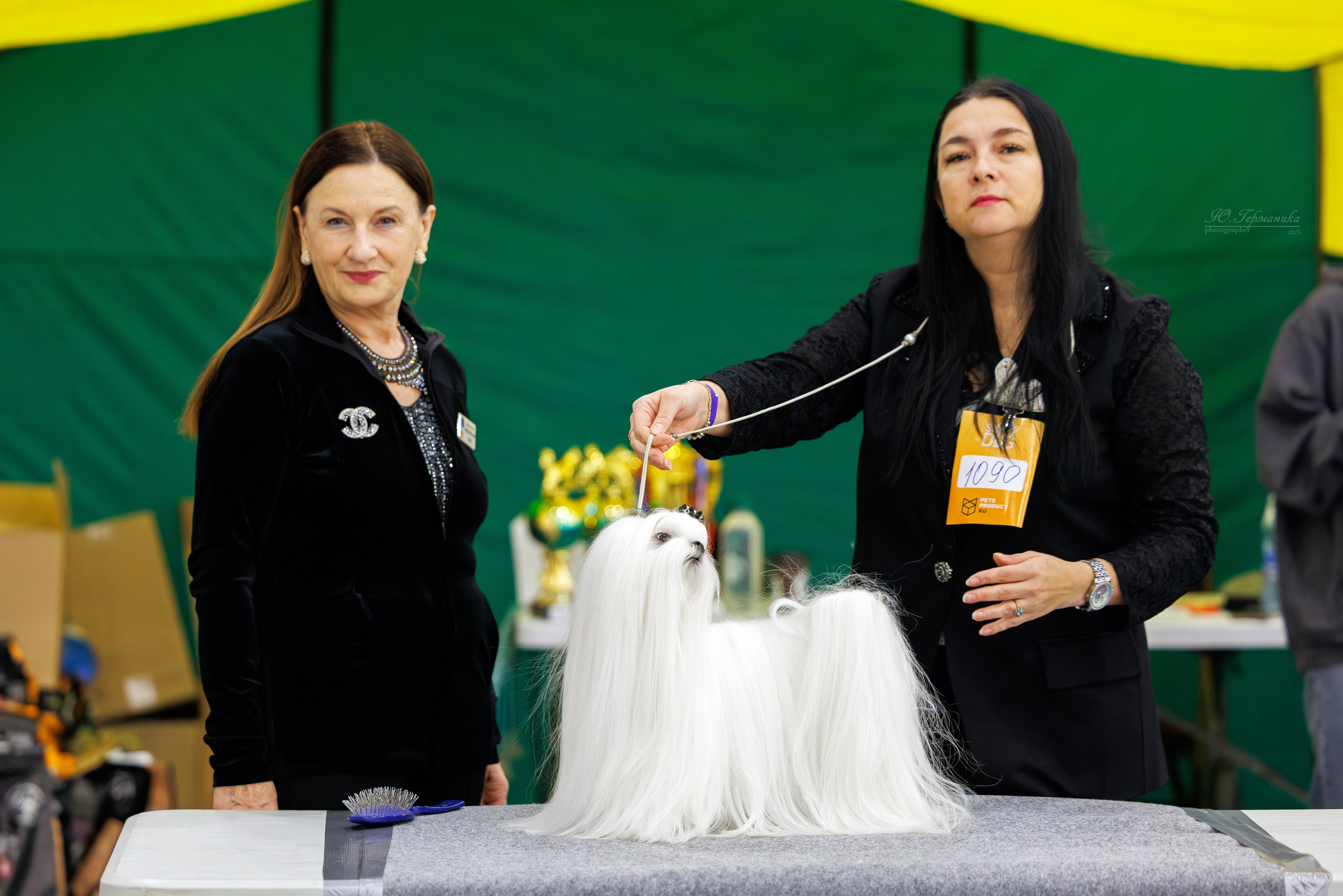 Питер 12-13.12.2025. Фотограф-анималист Юлия Германика