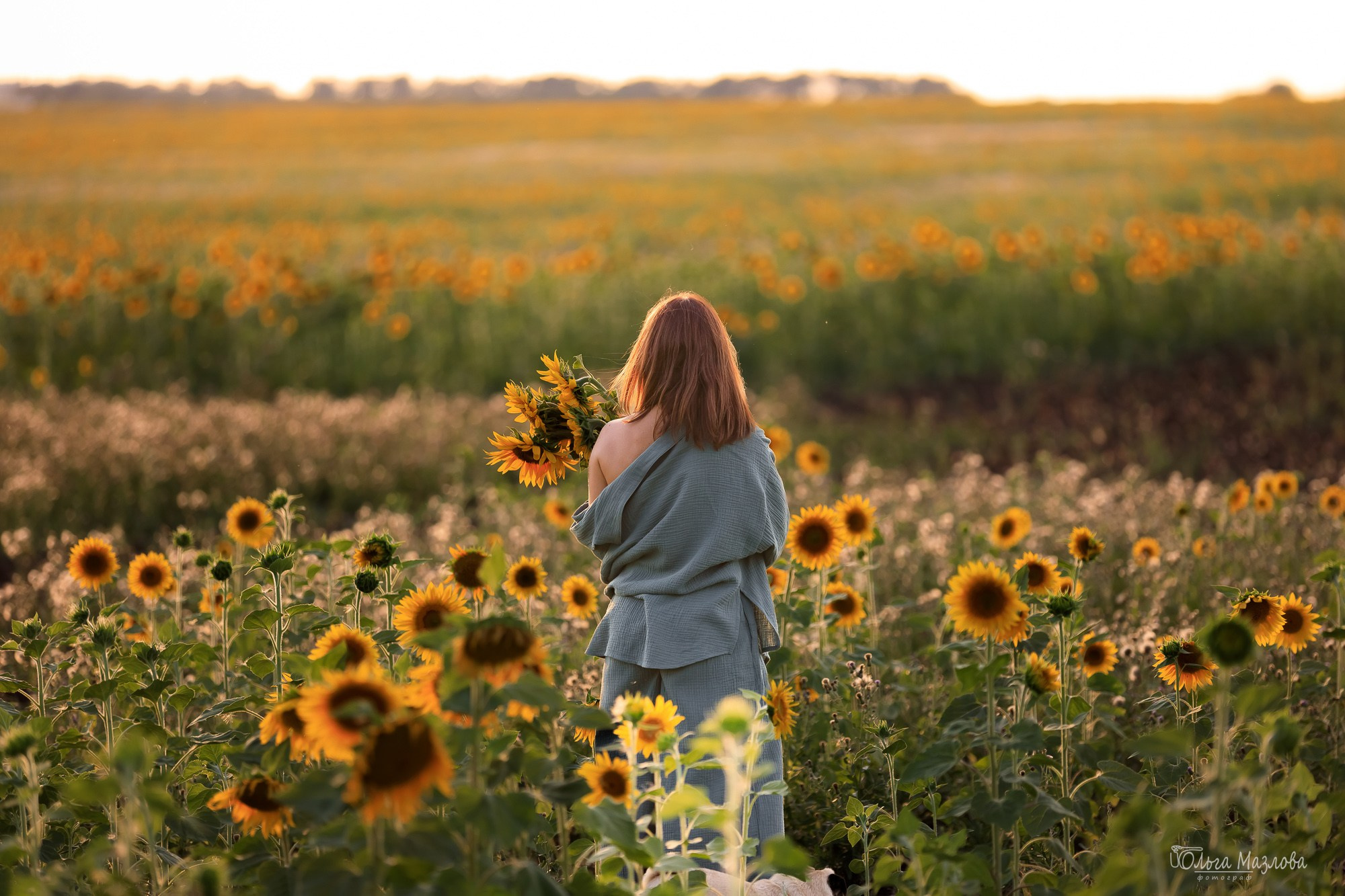 Фотосессия с питомцами. Фотограф в Саратове Ольга Мазлова