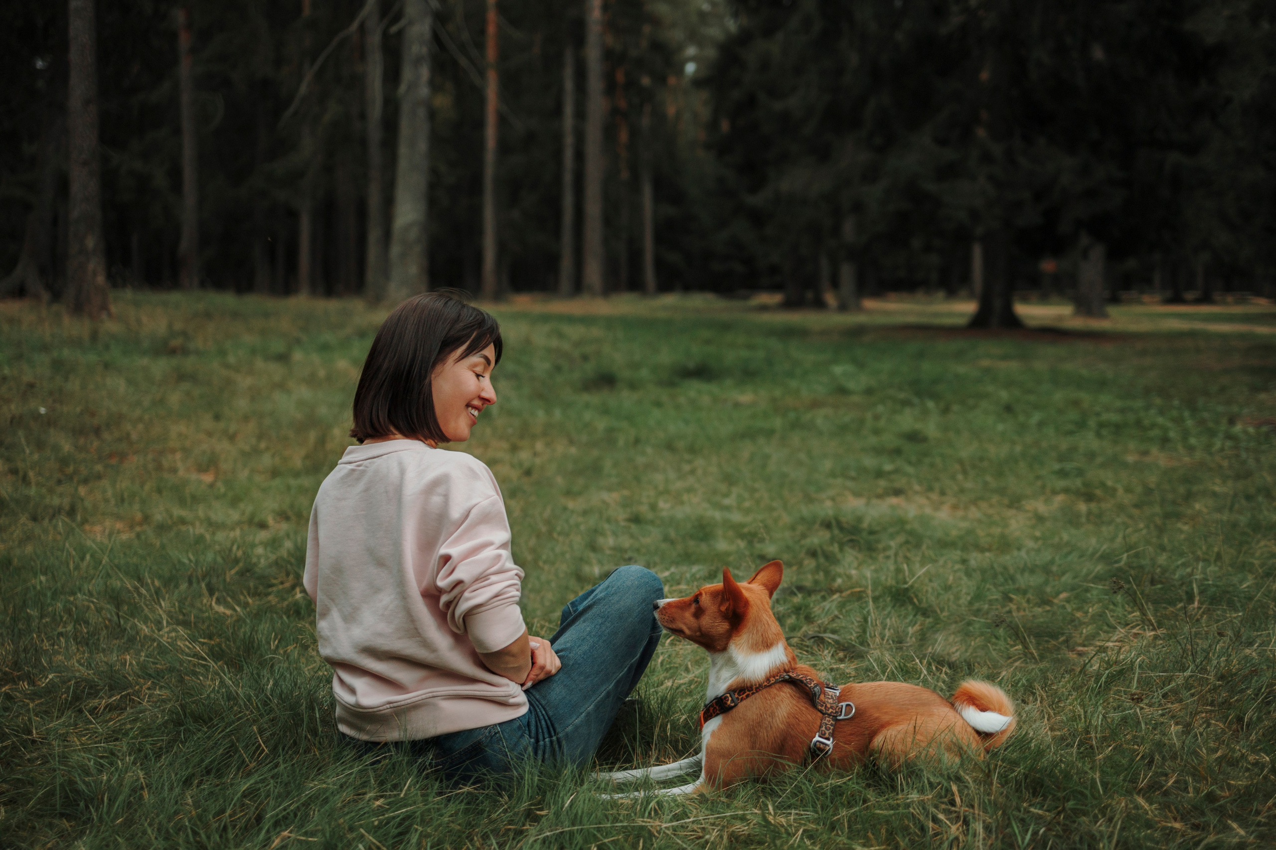 Фотограф-анималист в Санкт-Петеребурге Титова Алиса