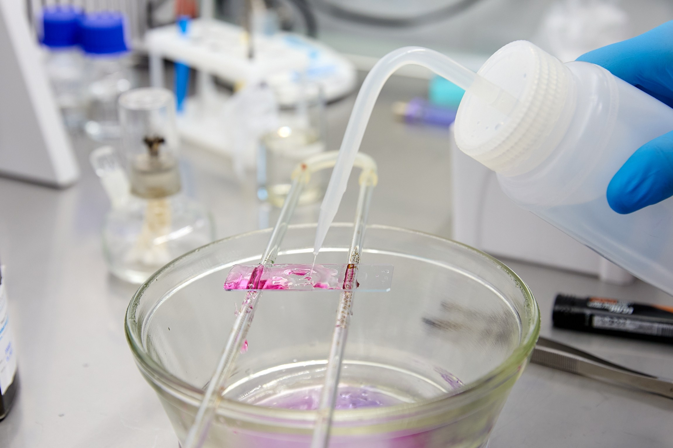 Университетские смены 2025. Репортажный и студийный фотограф во Владивостоке Дударева Софья