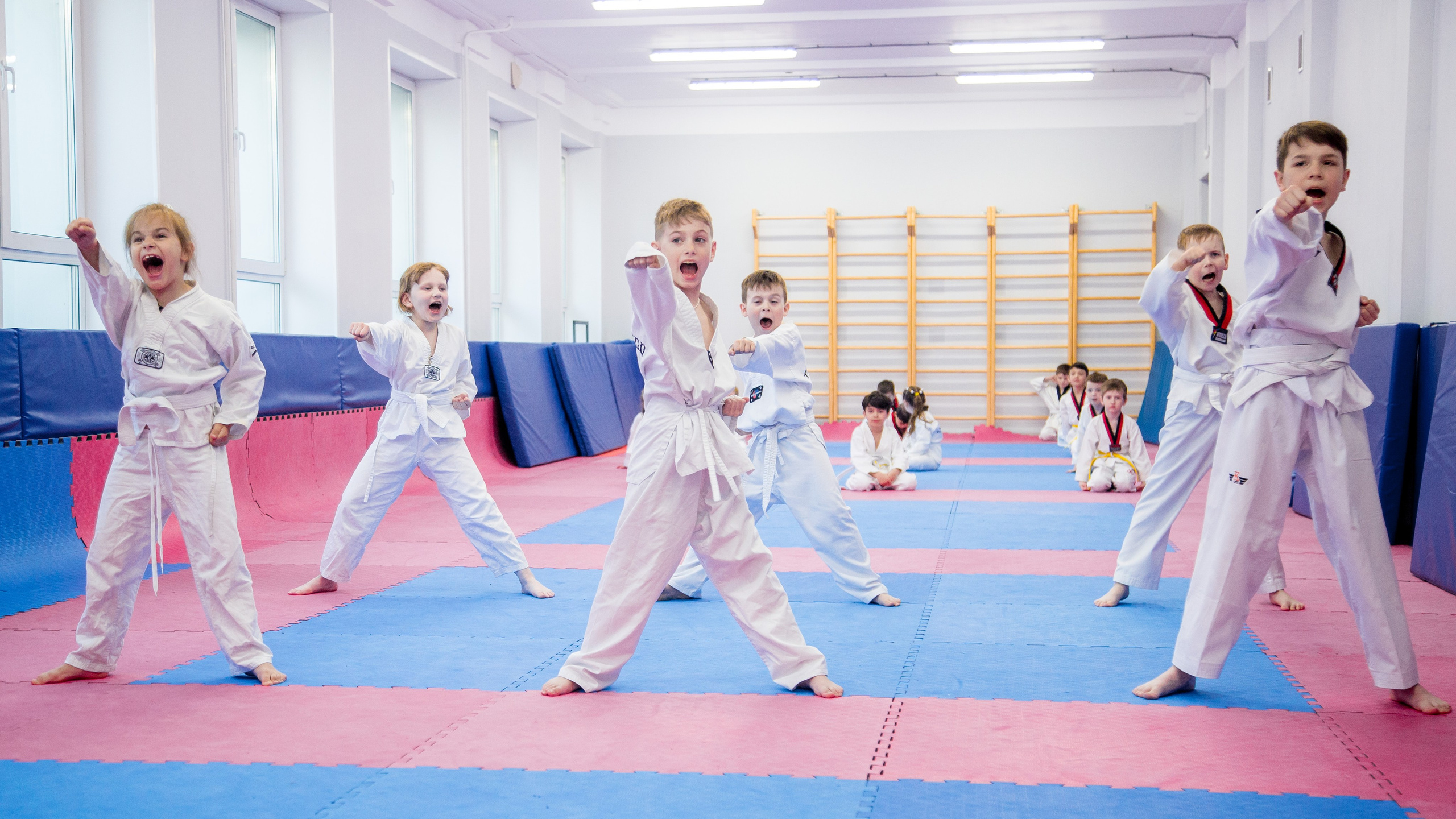 Желтый пояс по тхеквандо. Репортажный фотограф Борис Геер