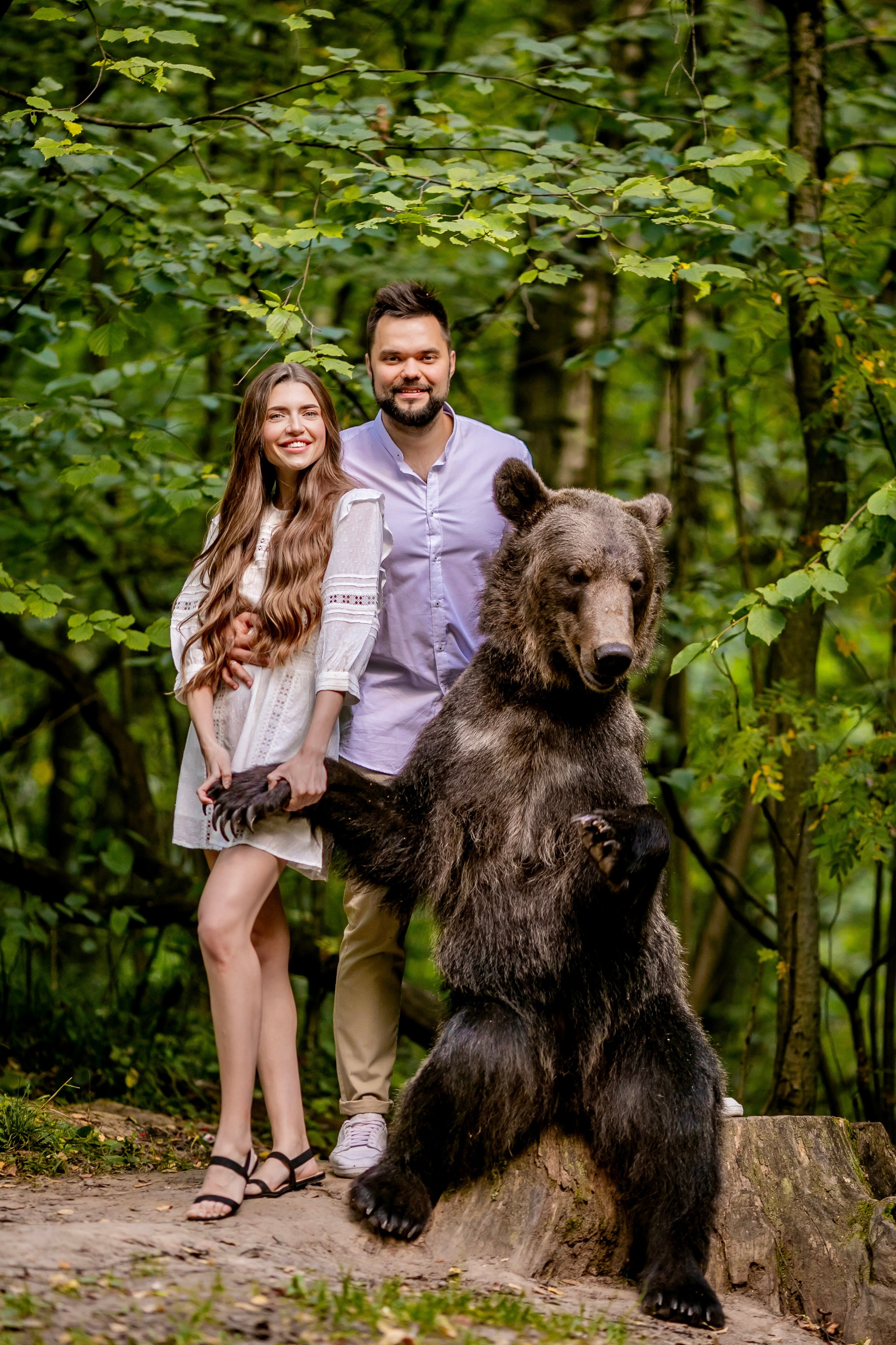 Съемка с медведем. Фото и видео Москва, Московский. Свадебный фотограф, видеограф, фотосессии, видеосъемка
