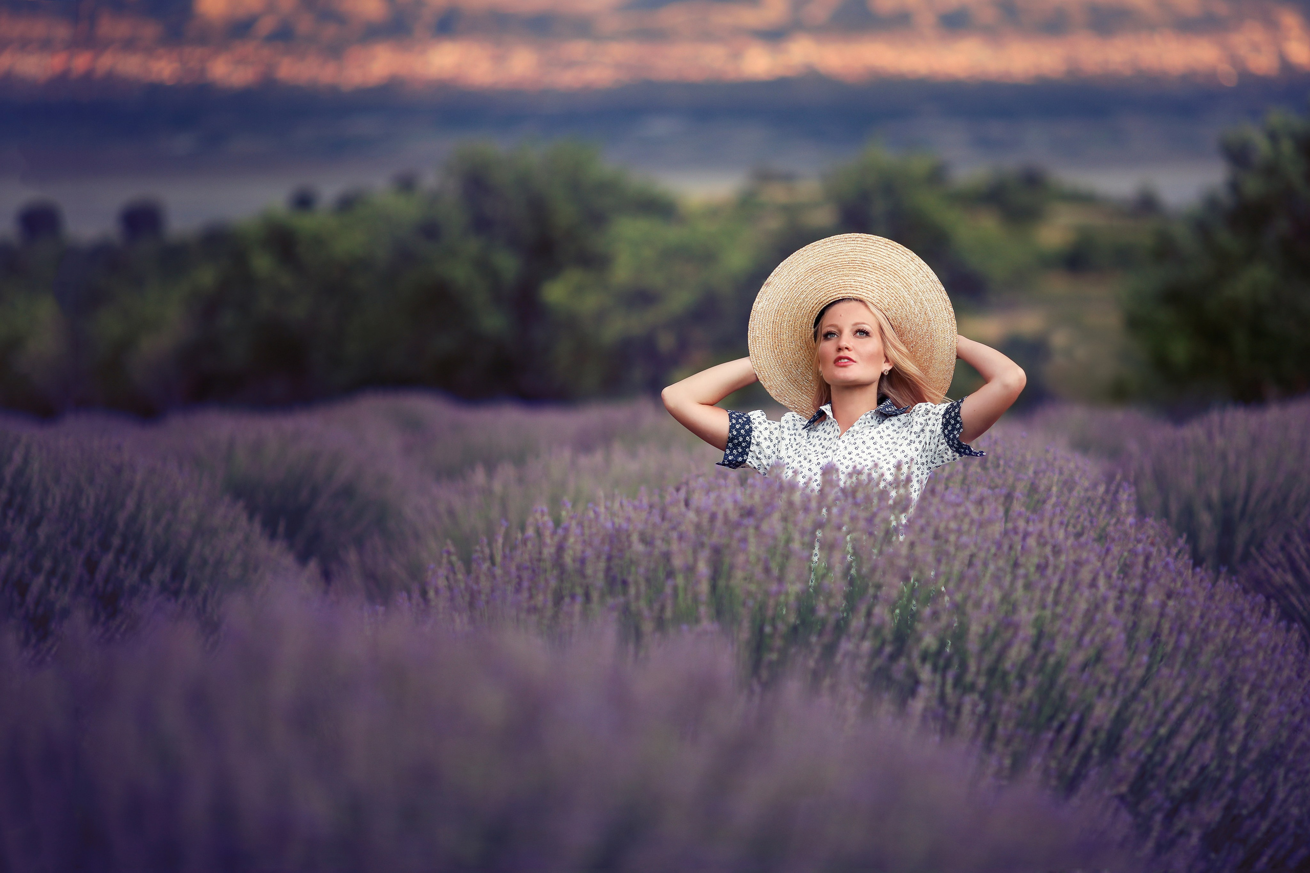 Lavender fields in Turkey