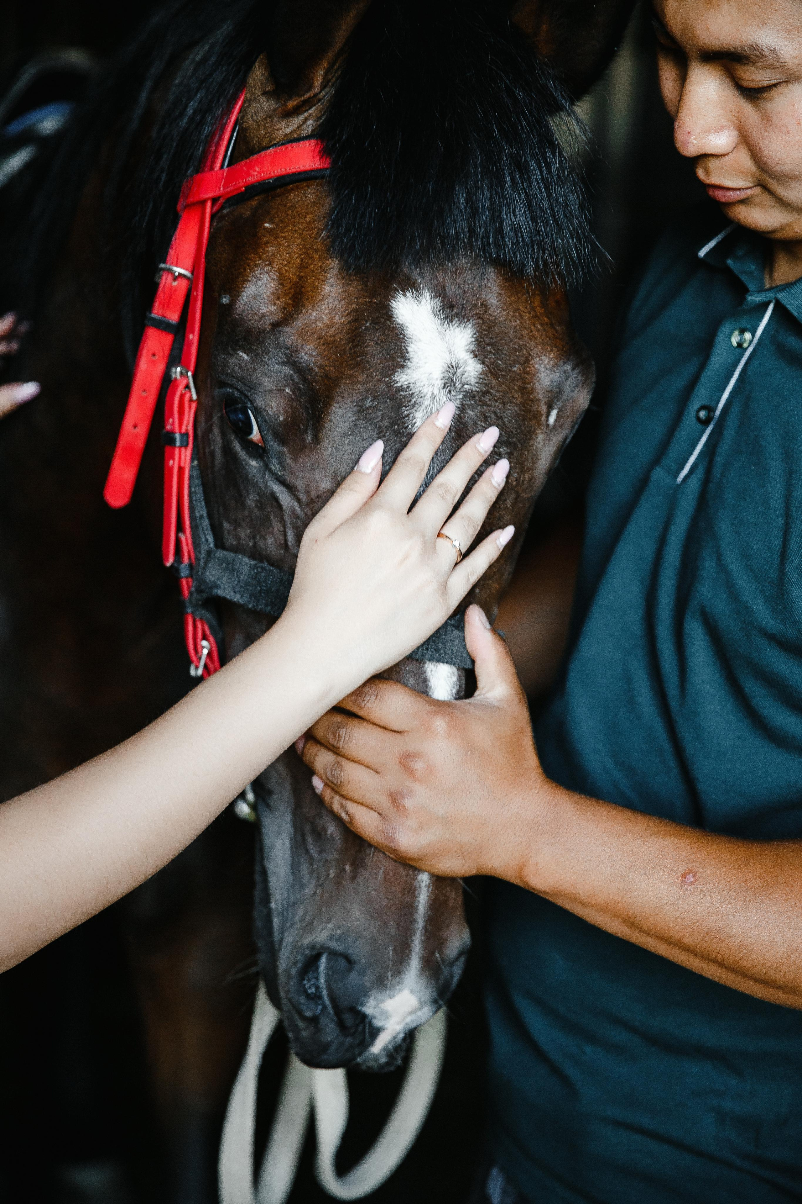Love Story ипподром. Свадебный и Семейный фотограф в Петрпавловске