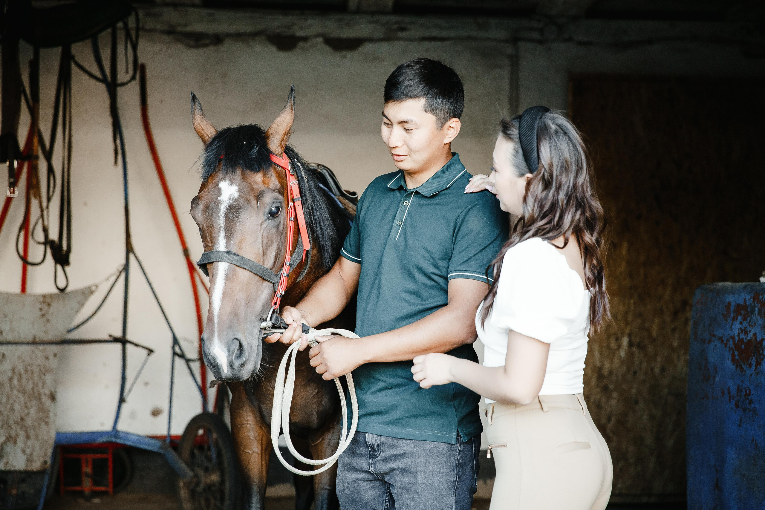 Love Story ипподром. Свадебный и Семейный фотограф в Петрпавловске