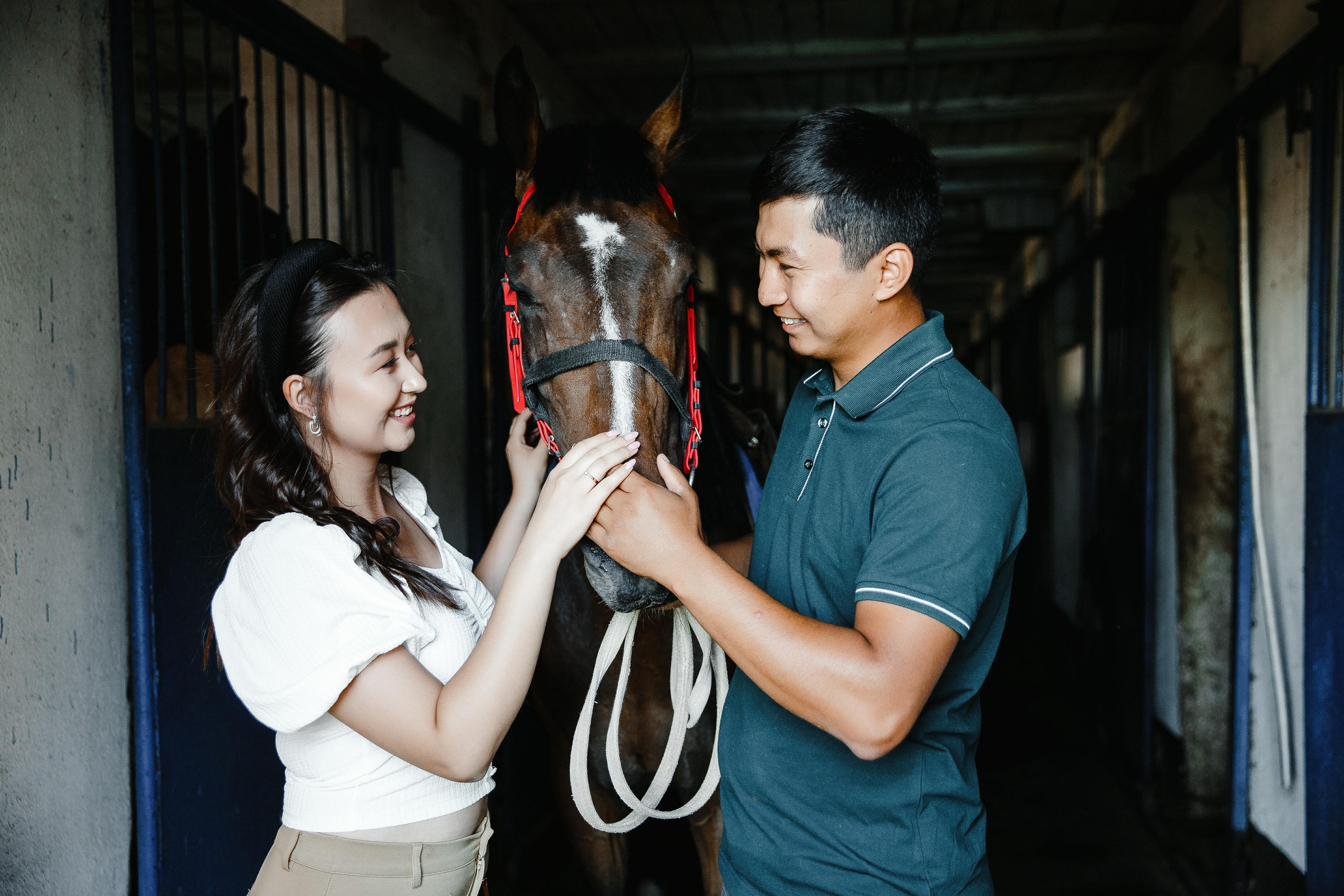Love Story ипподром. Свадебный и Семейный фотограф в Петрпавловске