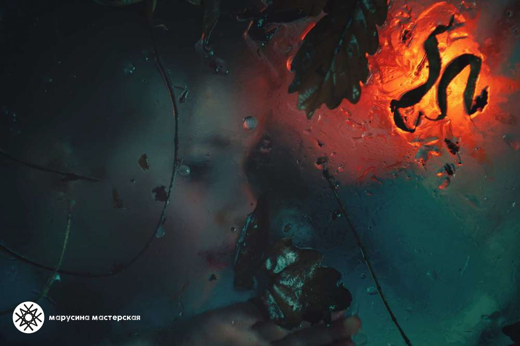 Творческая фотография, снятая в рамках зимней творческой практики, автор — Виктория Беликова