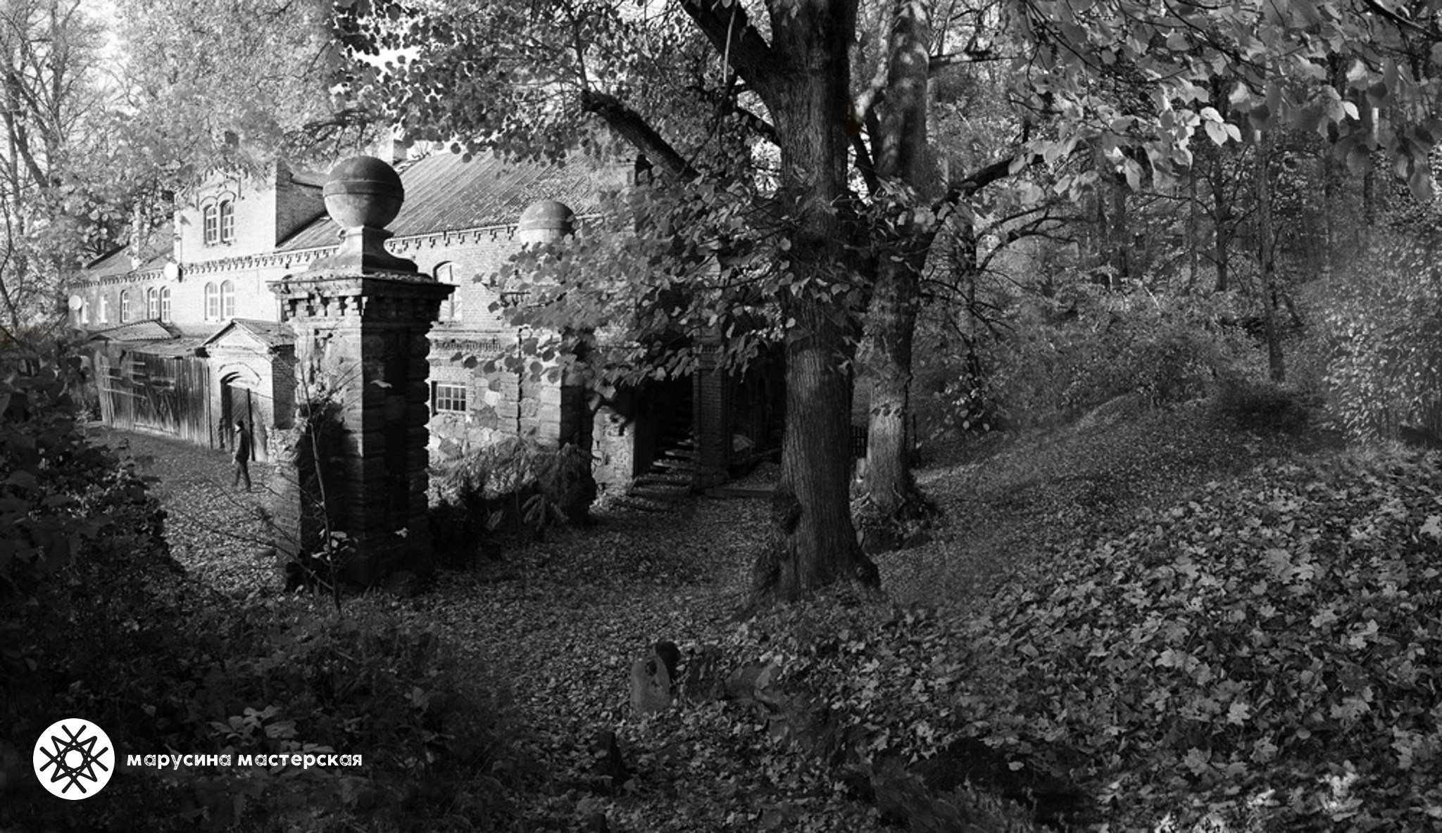 Ольга Антанайтене