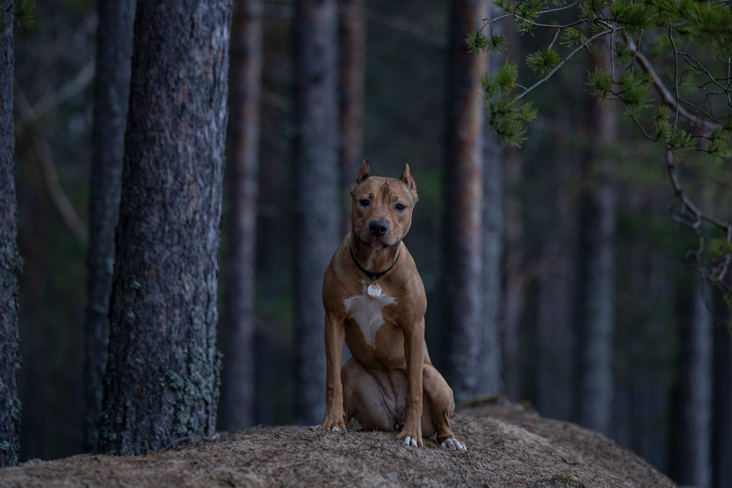Лужские Мальдивы. Фотограф-анималист Анна Маринич