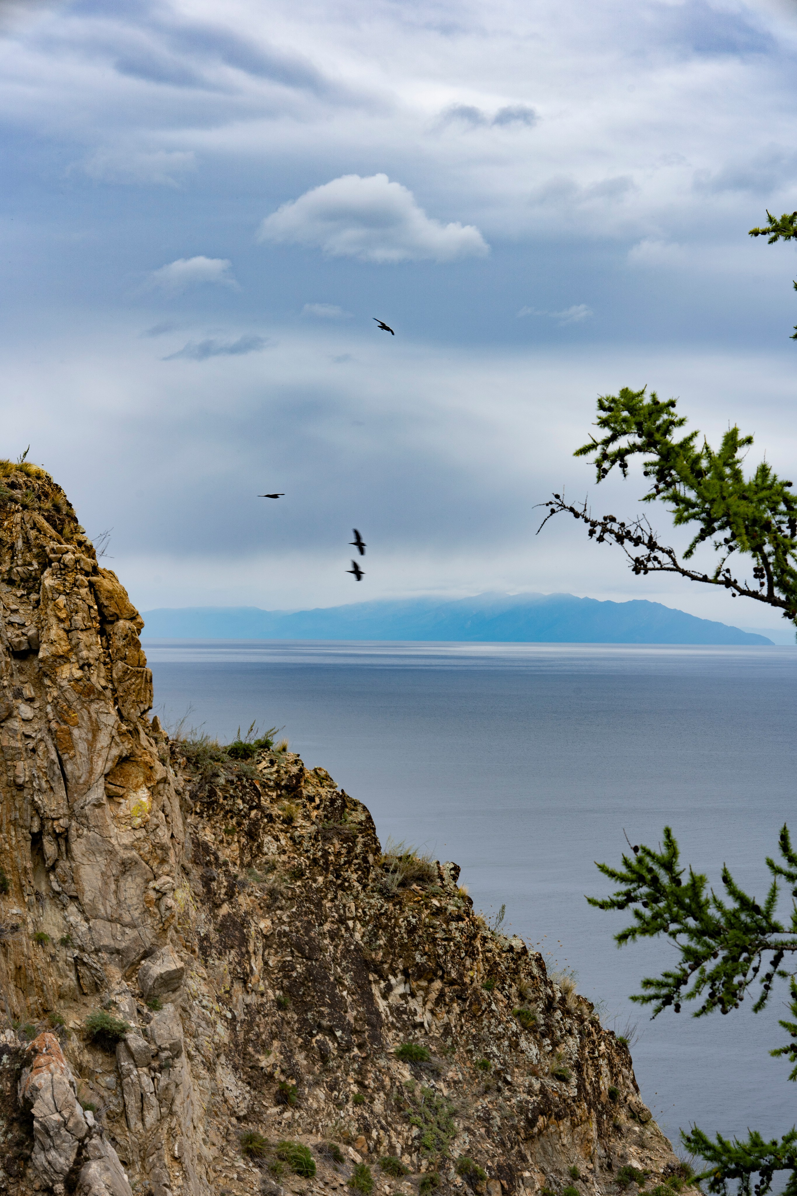 НАД ВОДОЙ. Фотограф Татьяна Андриянова