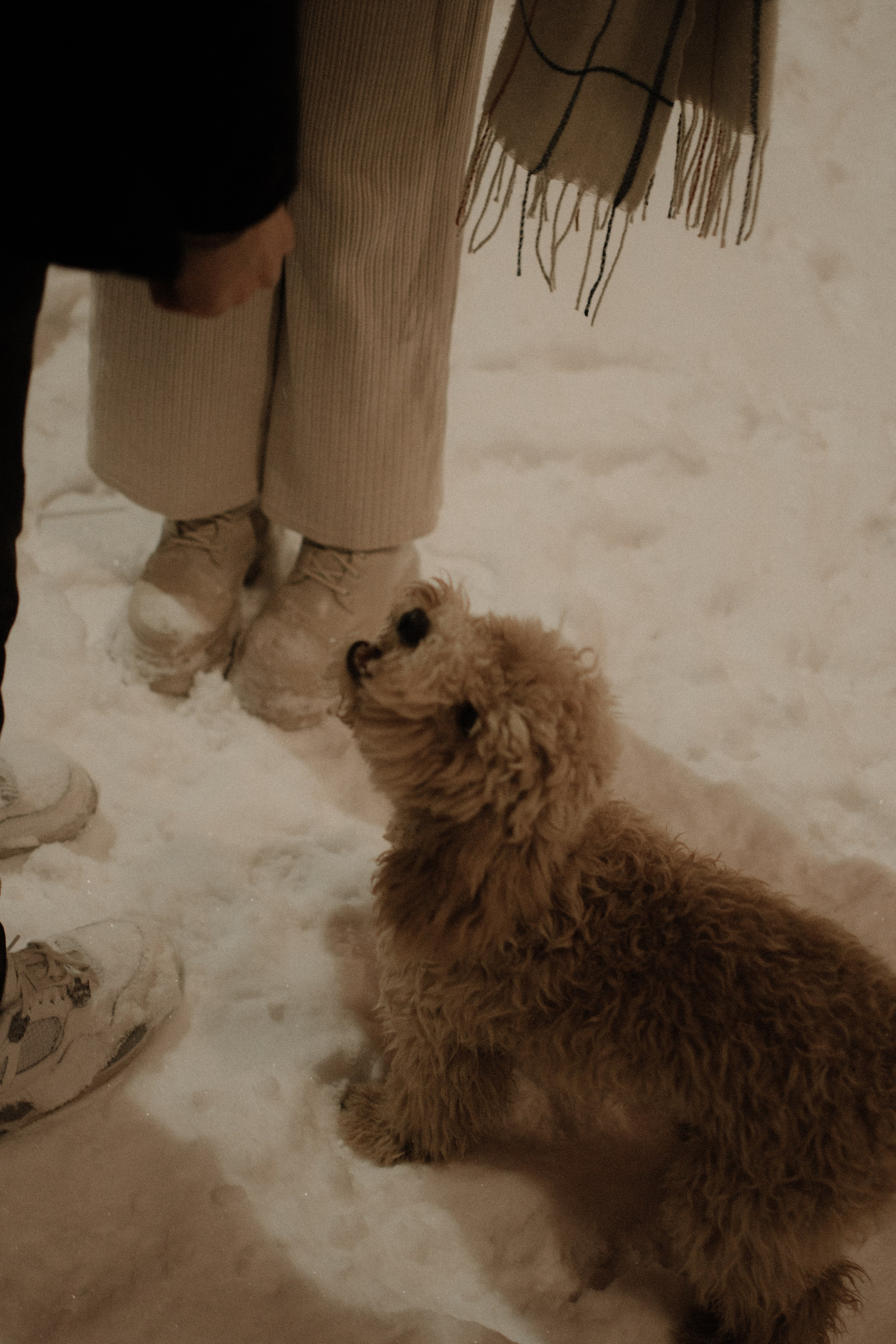 Вика и Семен. Фотограф Анфиса Хардина Екатеринбург