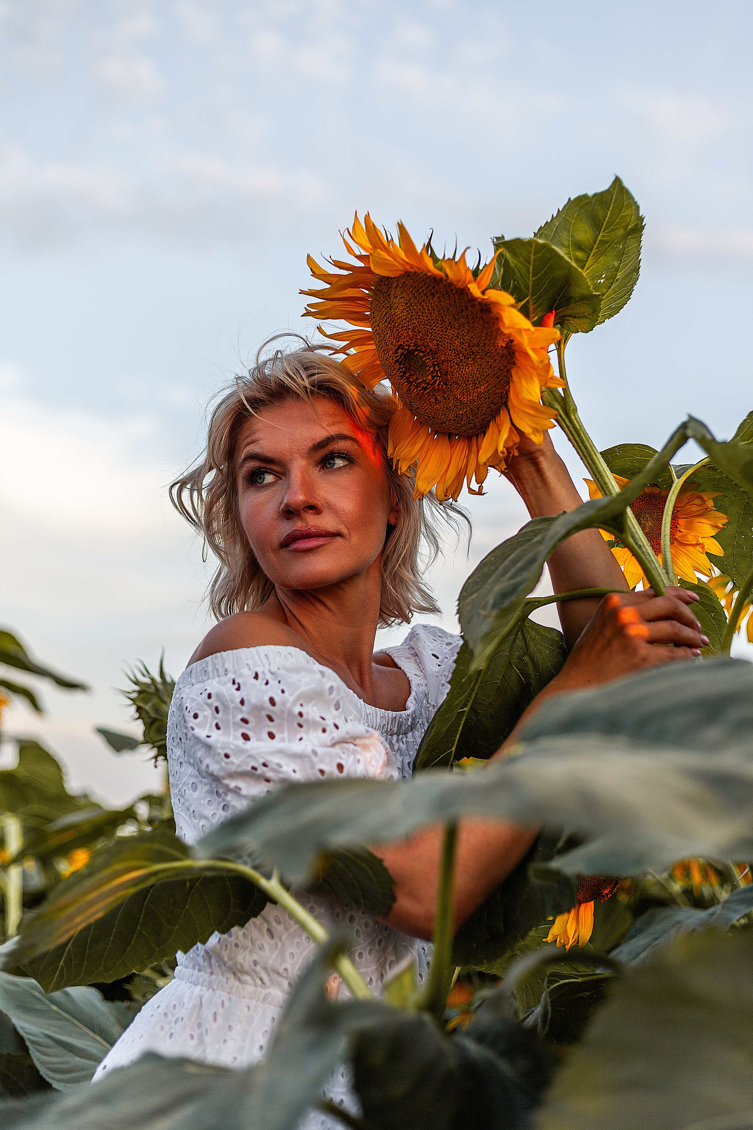 Подсолнухи!