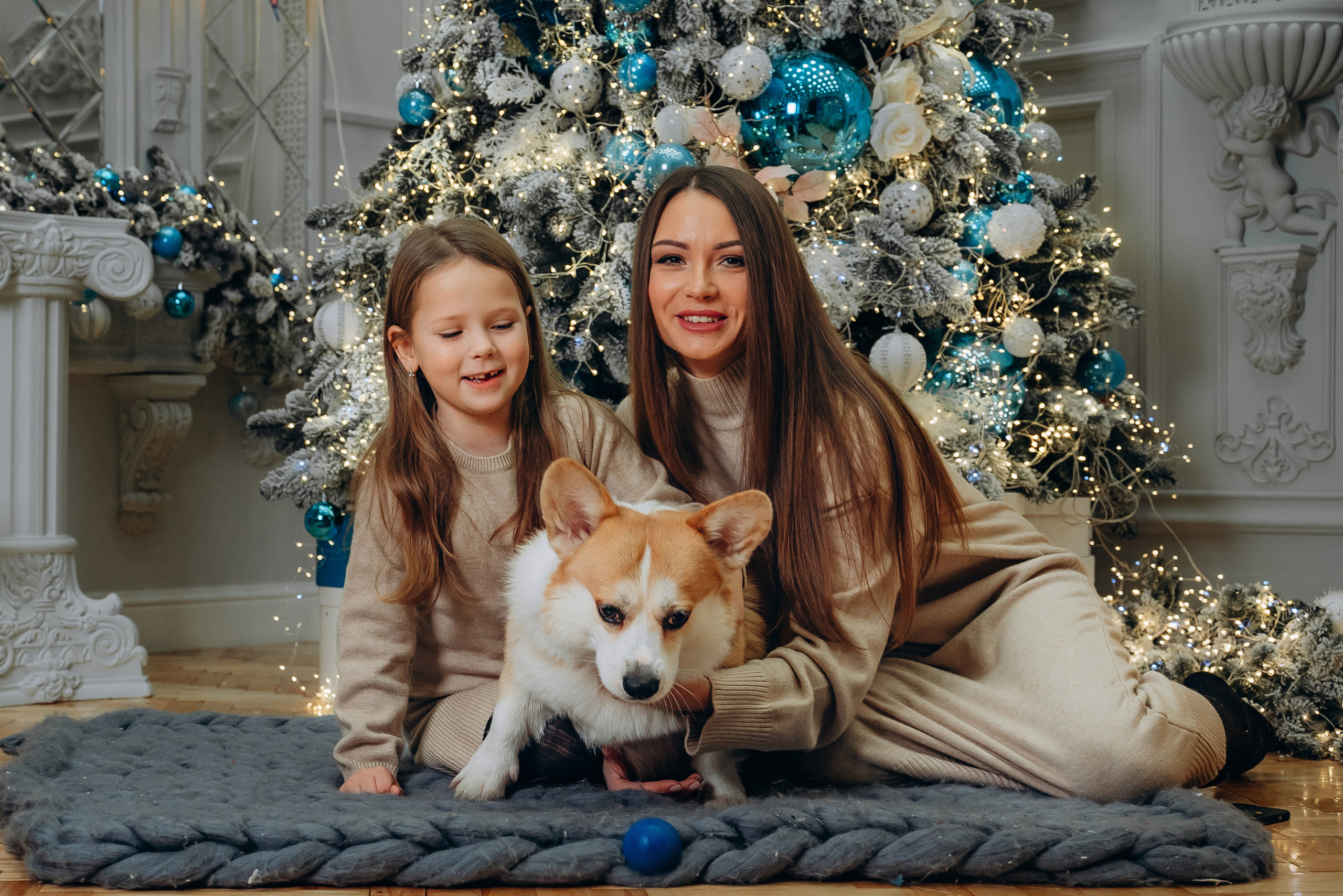 Новый год с корги