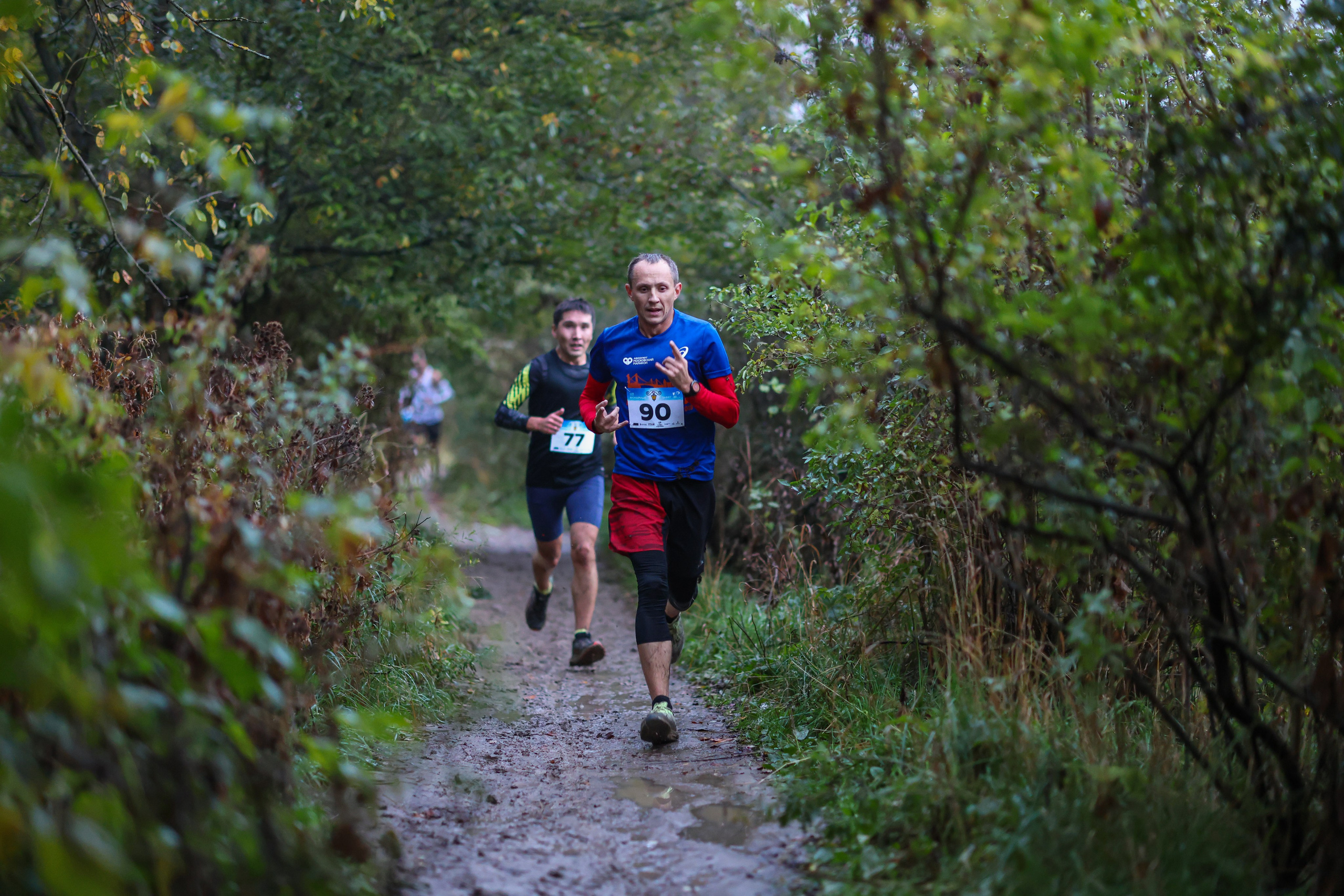 Фонарный забег, г. Долгопрудный, 27.09.25. Фотограф Сергей Ловкий