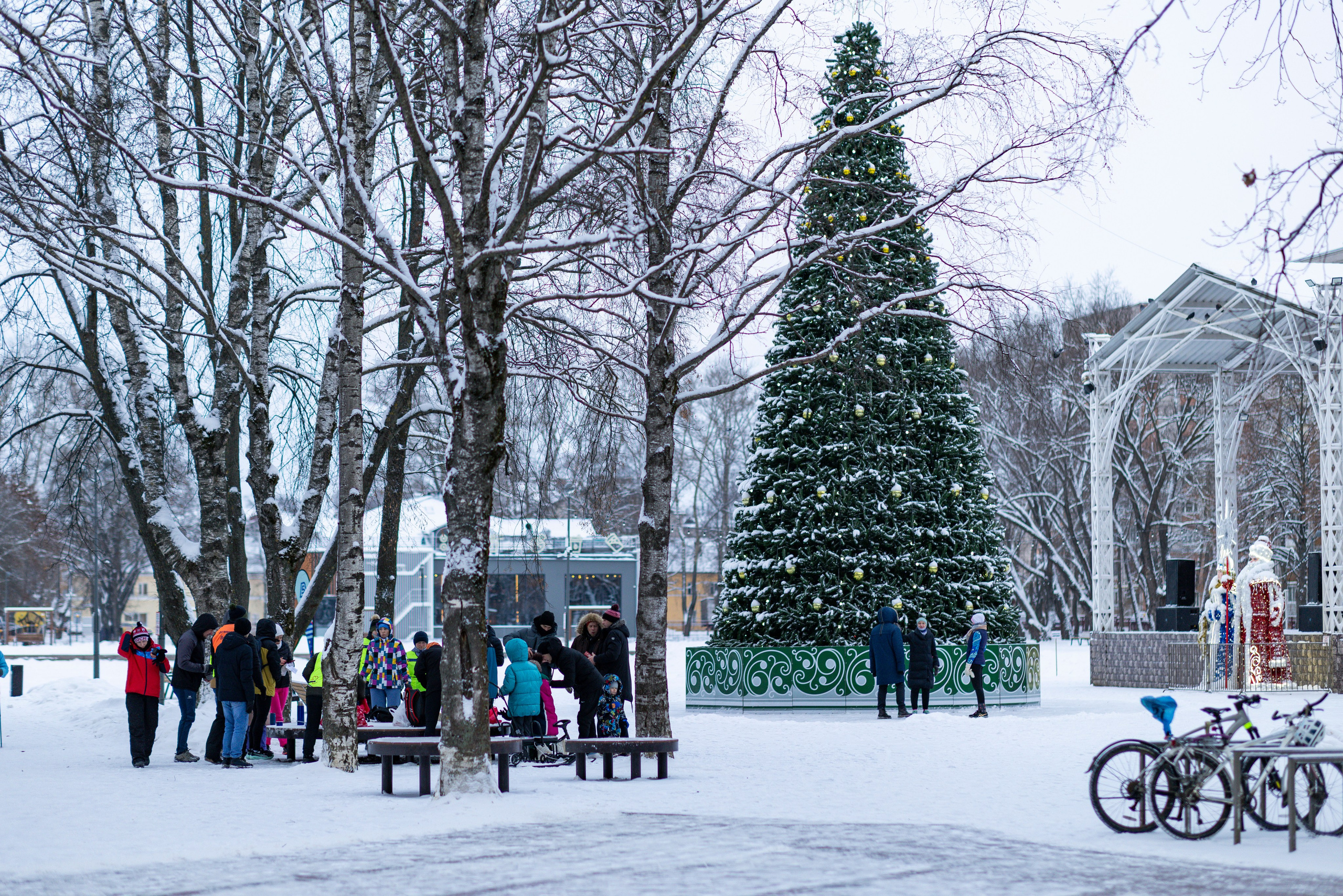 5 вёрст в столице русского Севера — Вологде, 03.01.26. Фотограф Сергей Ловкий