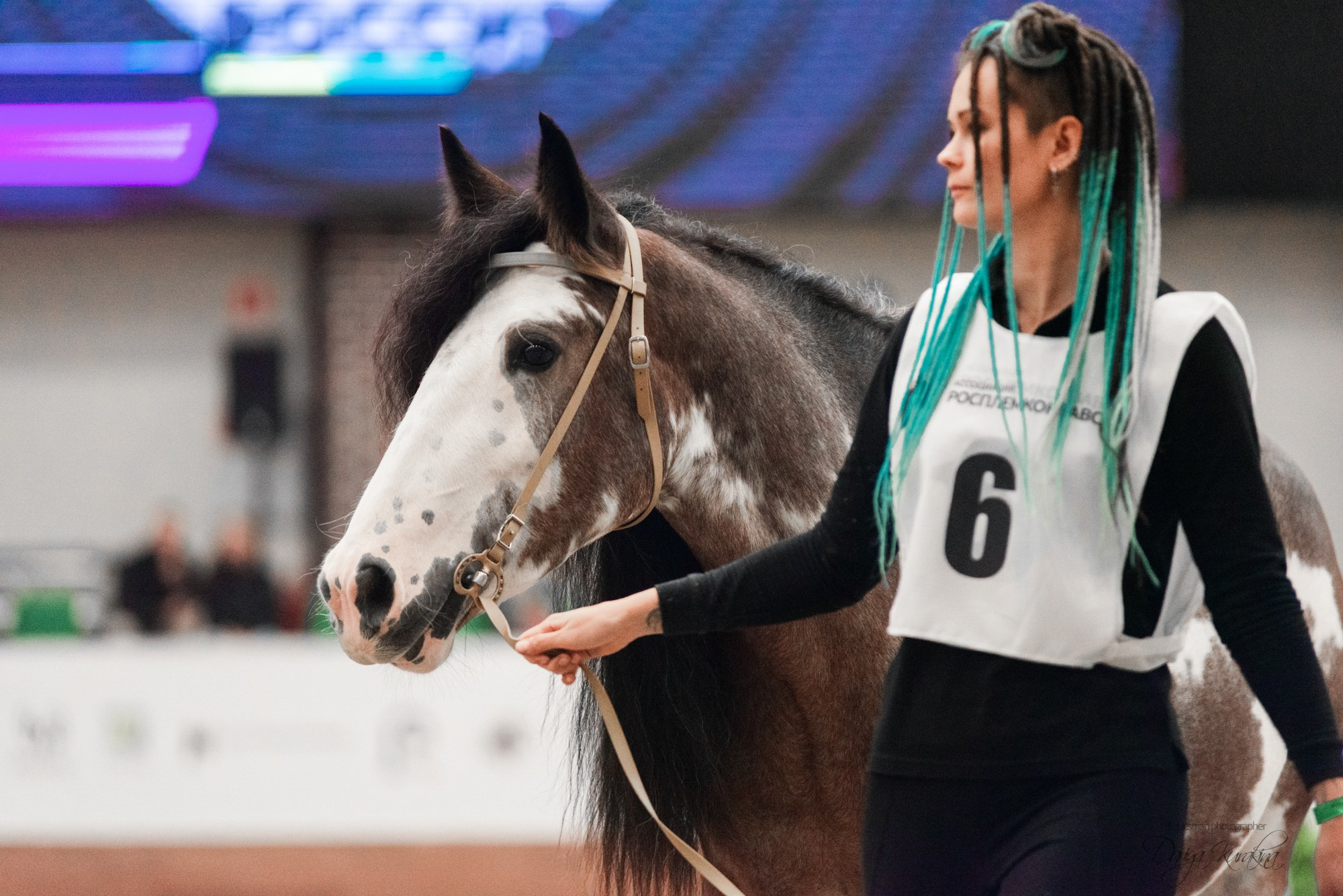 8-я международная выставка Конная Россия. Конный фотограф Куракина Дарья • Фотосессии с лошадьми