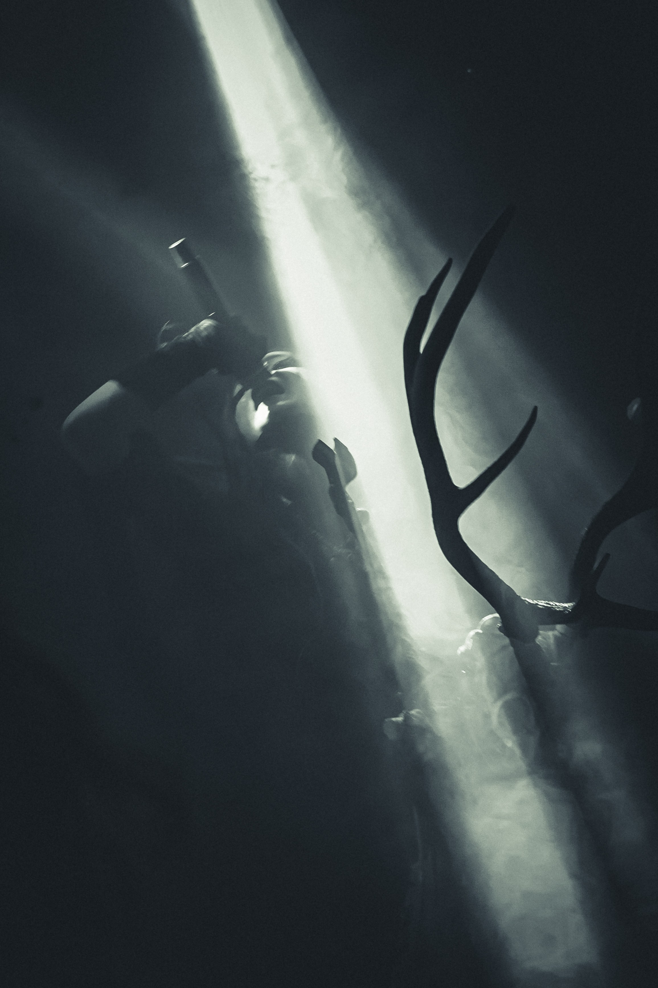 Мещера, Эрмитаж, 22.02.2026. Фотограф Регина Крикунова г. Красноярск