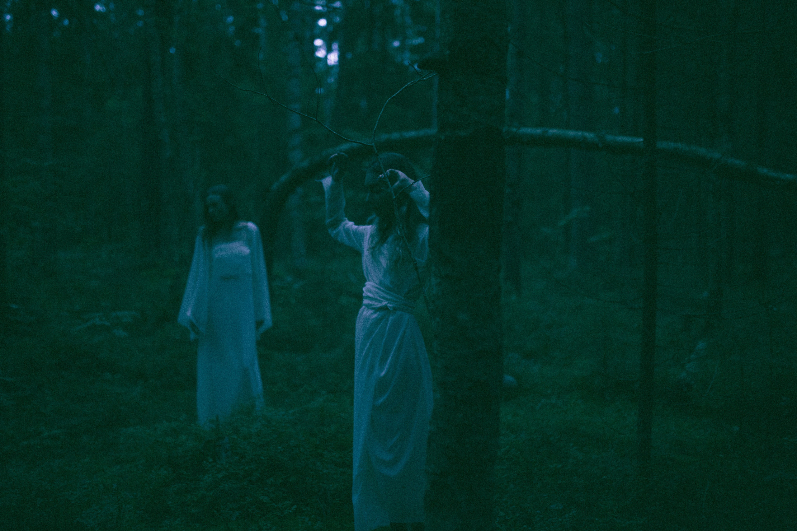 Две девушки в темном лесу