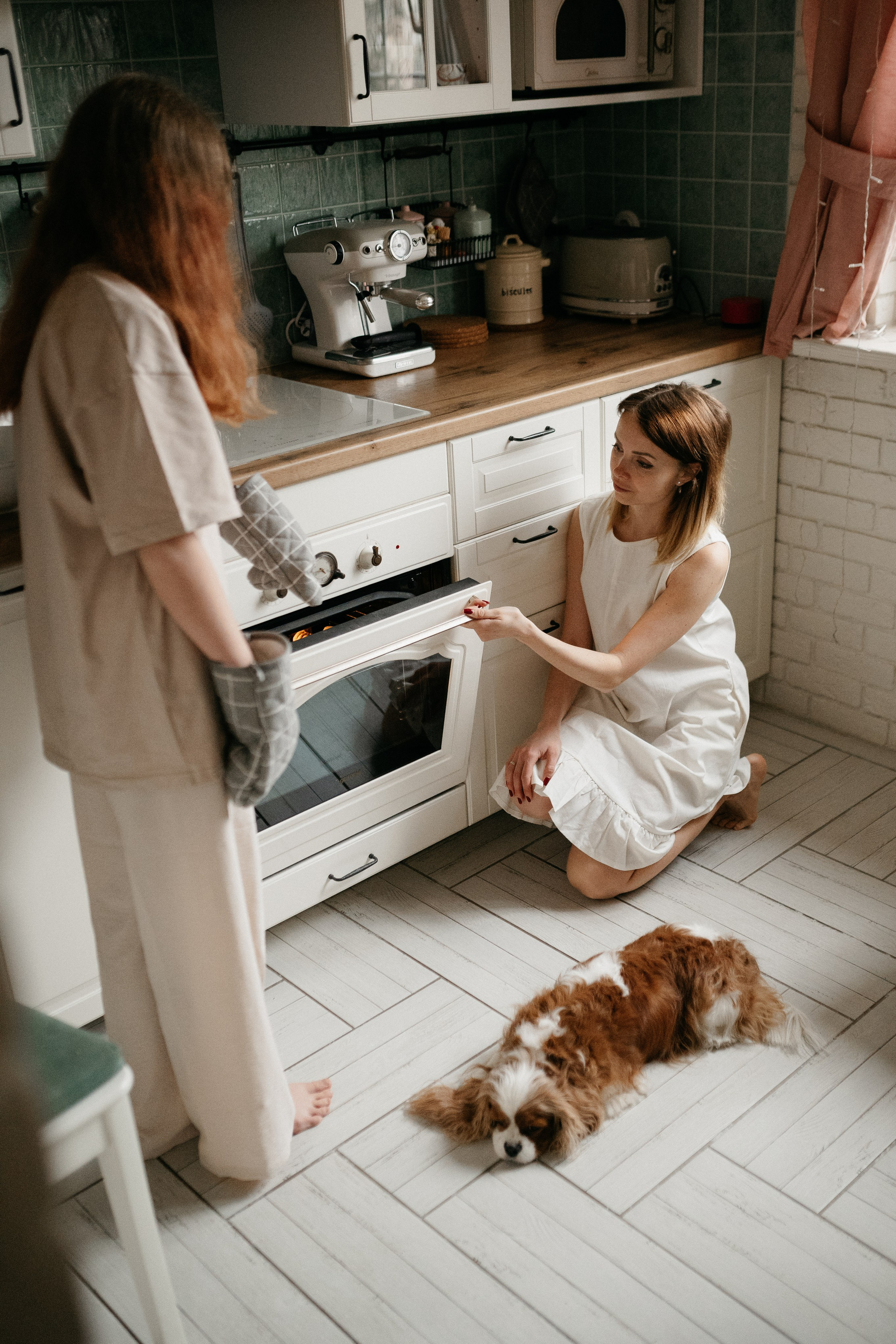 Даша, Диана, Дебби и маленькая крыска. Фотограф анималист в Москве Ольга Агушева