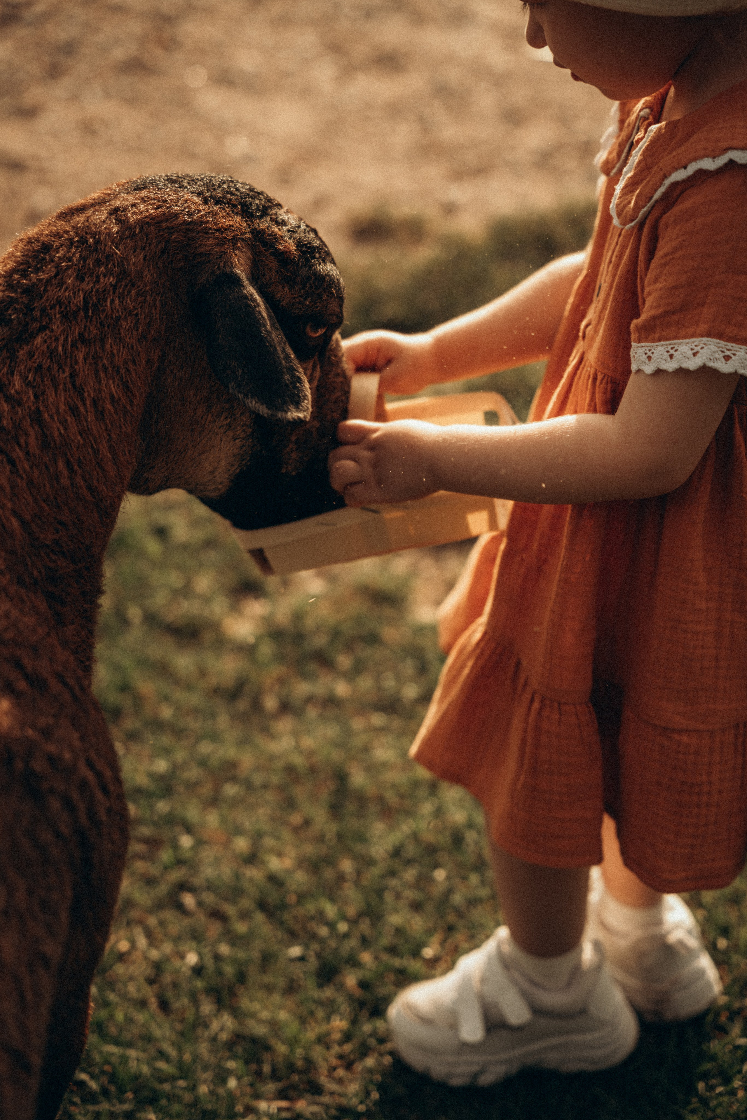 Аришка. Фотограф Мария Миллс | Минск