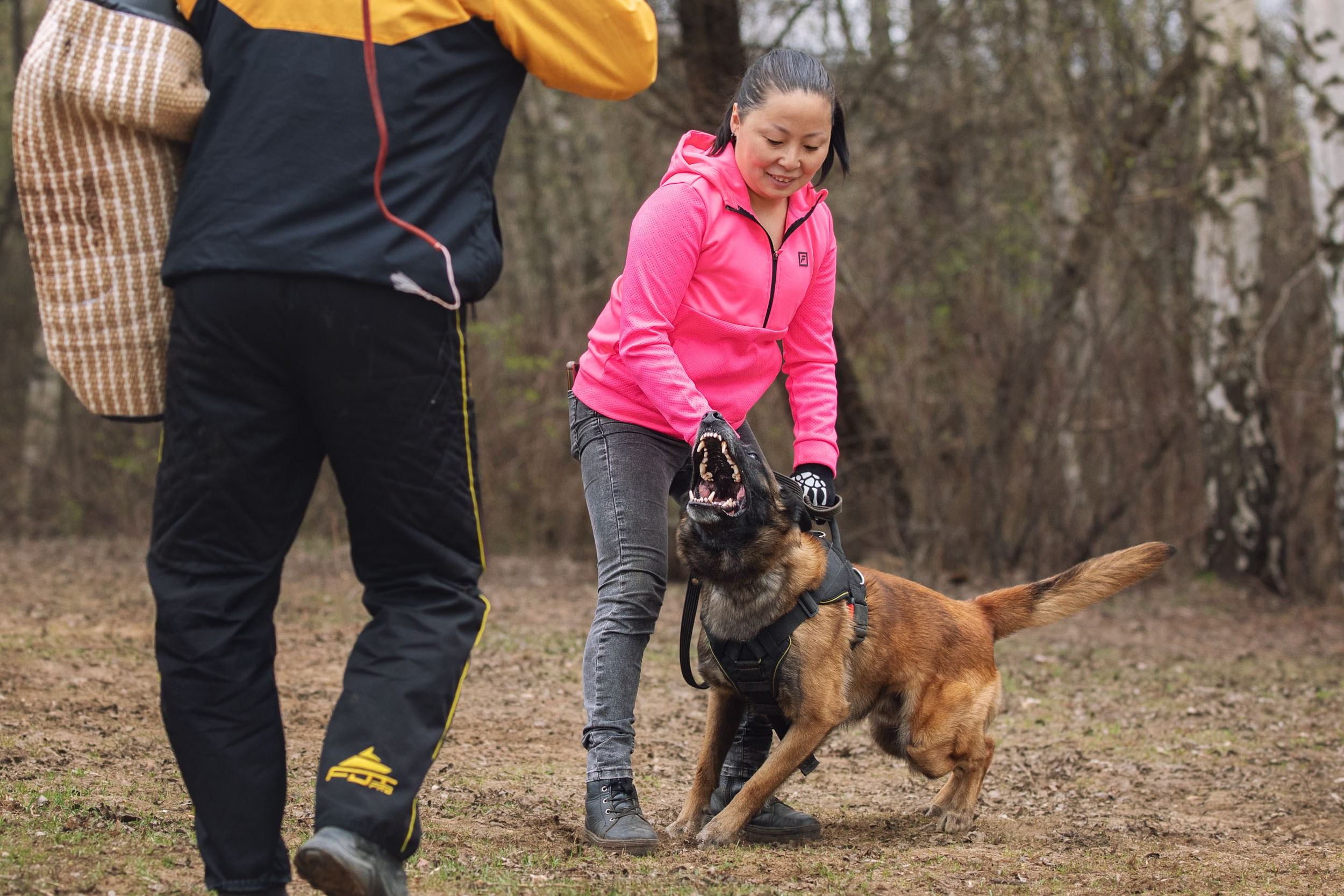 Съемка для рекламы услуг кинолога. Фотограф-анималист в Москве и Московской области Татьяна Фролова
