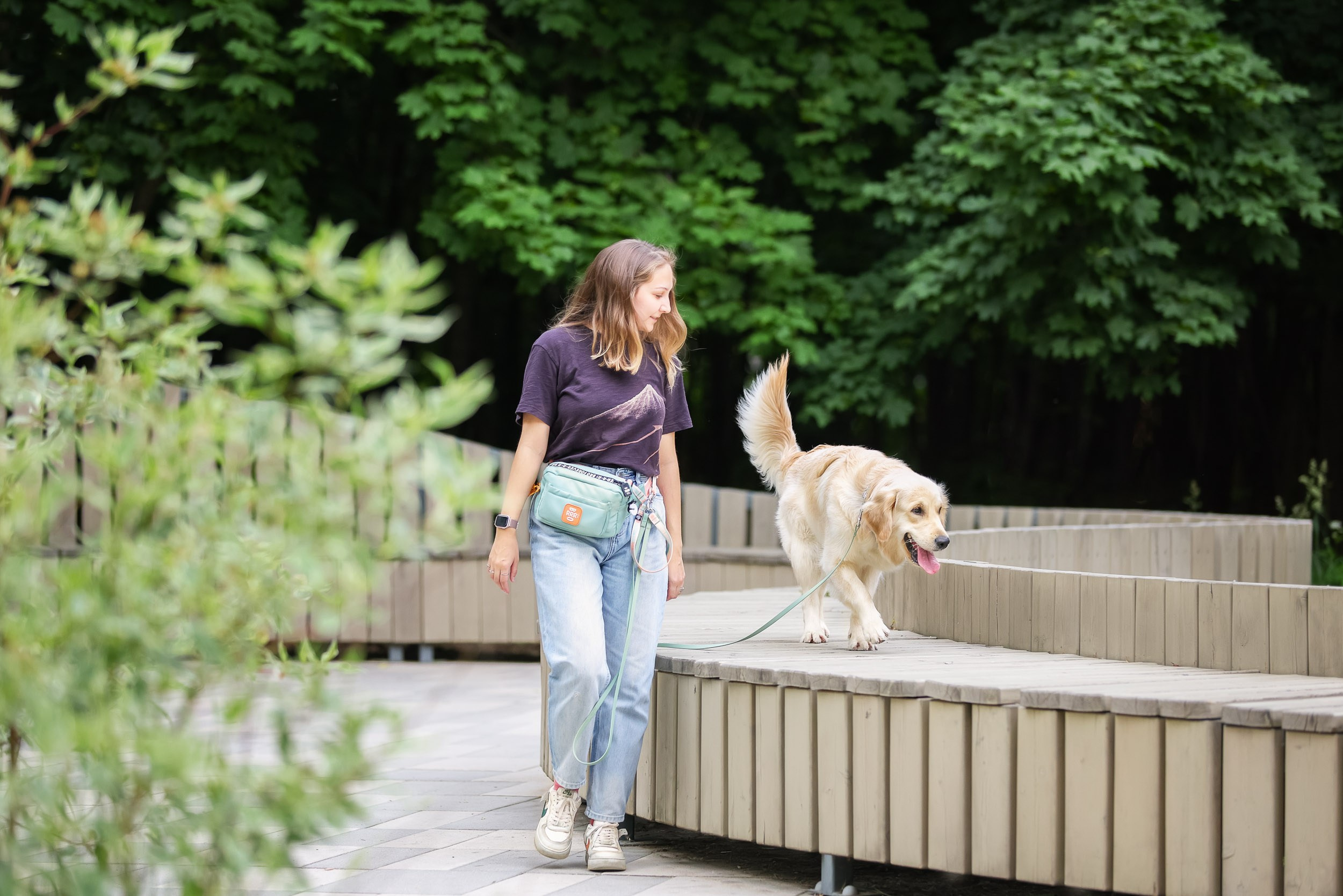 Фотопрогулка для четырех человек с собаками. Фотограф-анималист в Москве и Московской области Татьяна Фролова