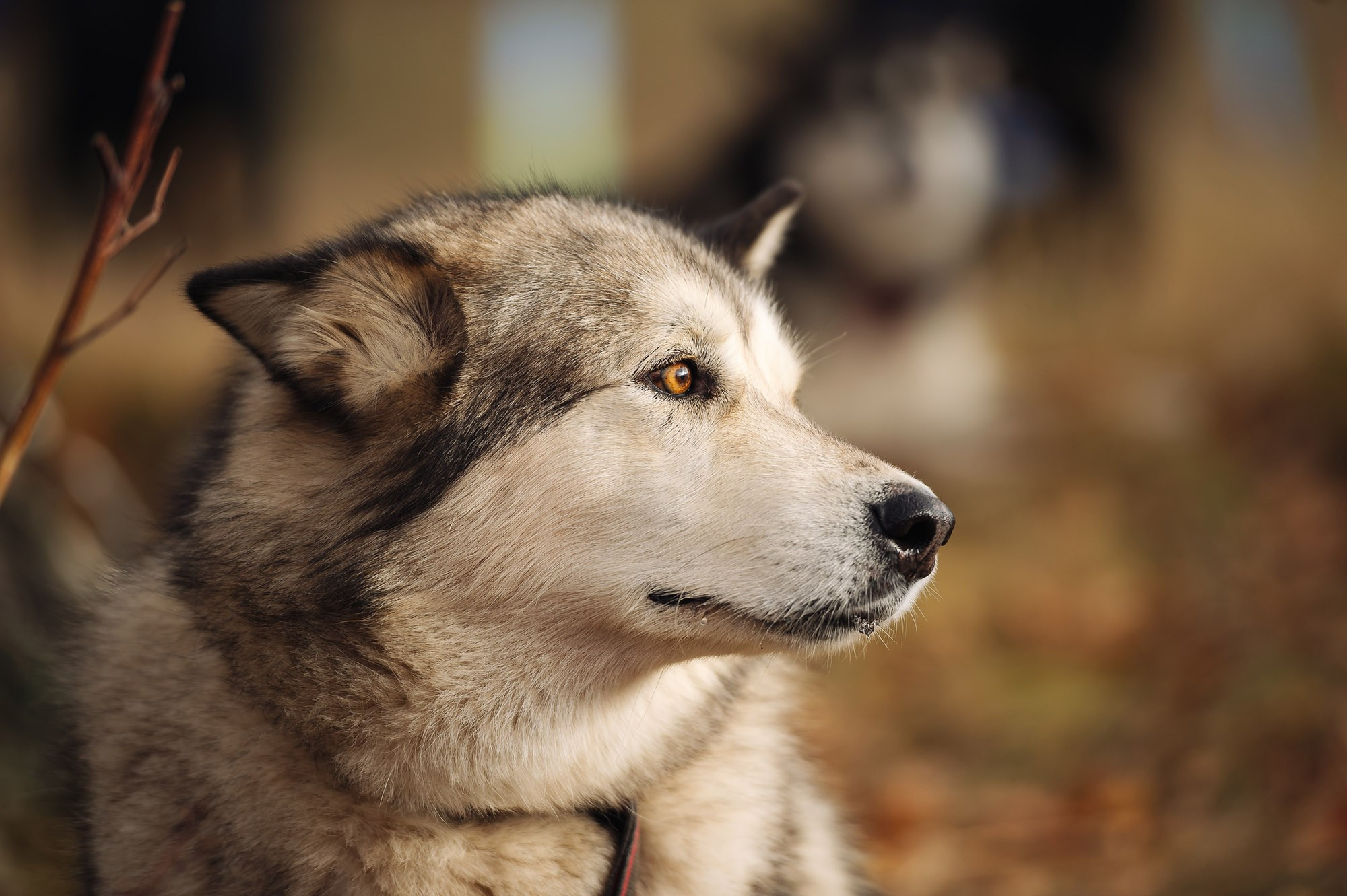 Карст Трейл — 2023. Спортивный фотограф в Уфе Евгений Буров