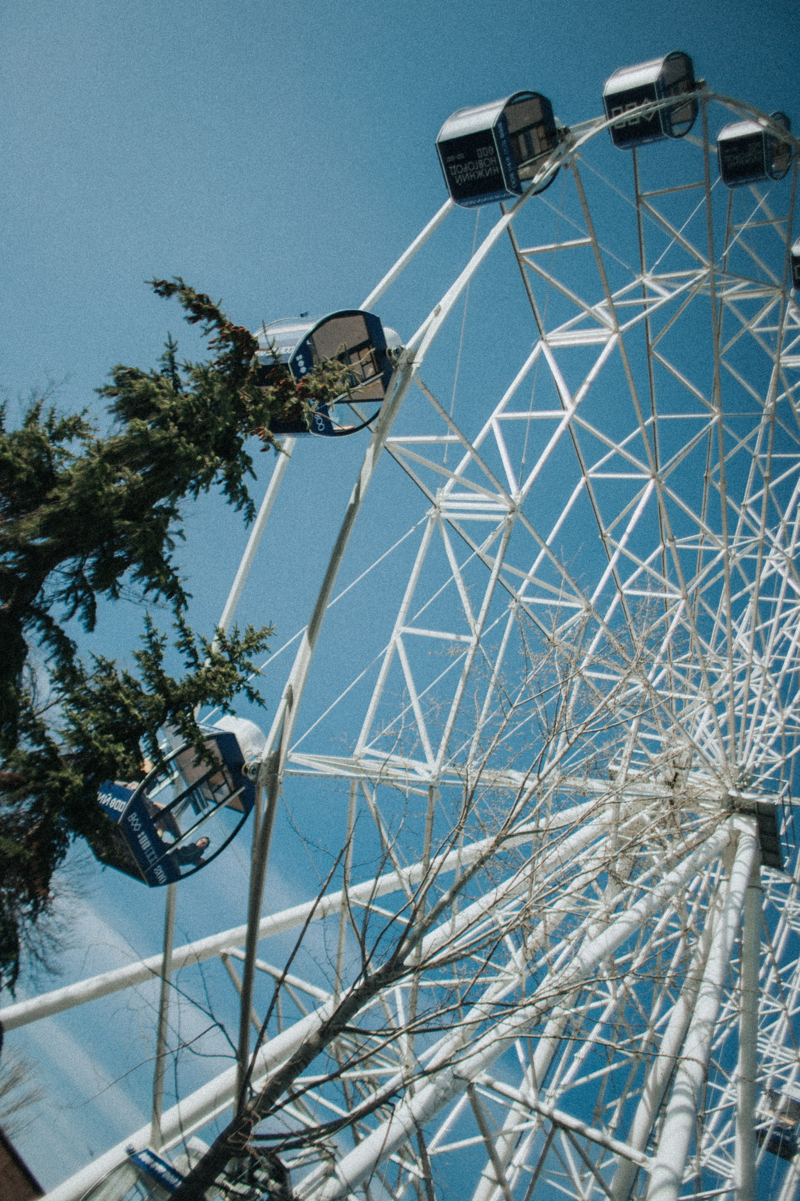 У Колеса обозрения. Фотограф в Нижнем Новгороде