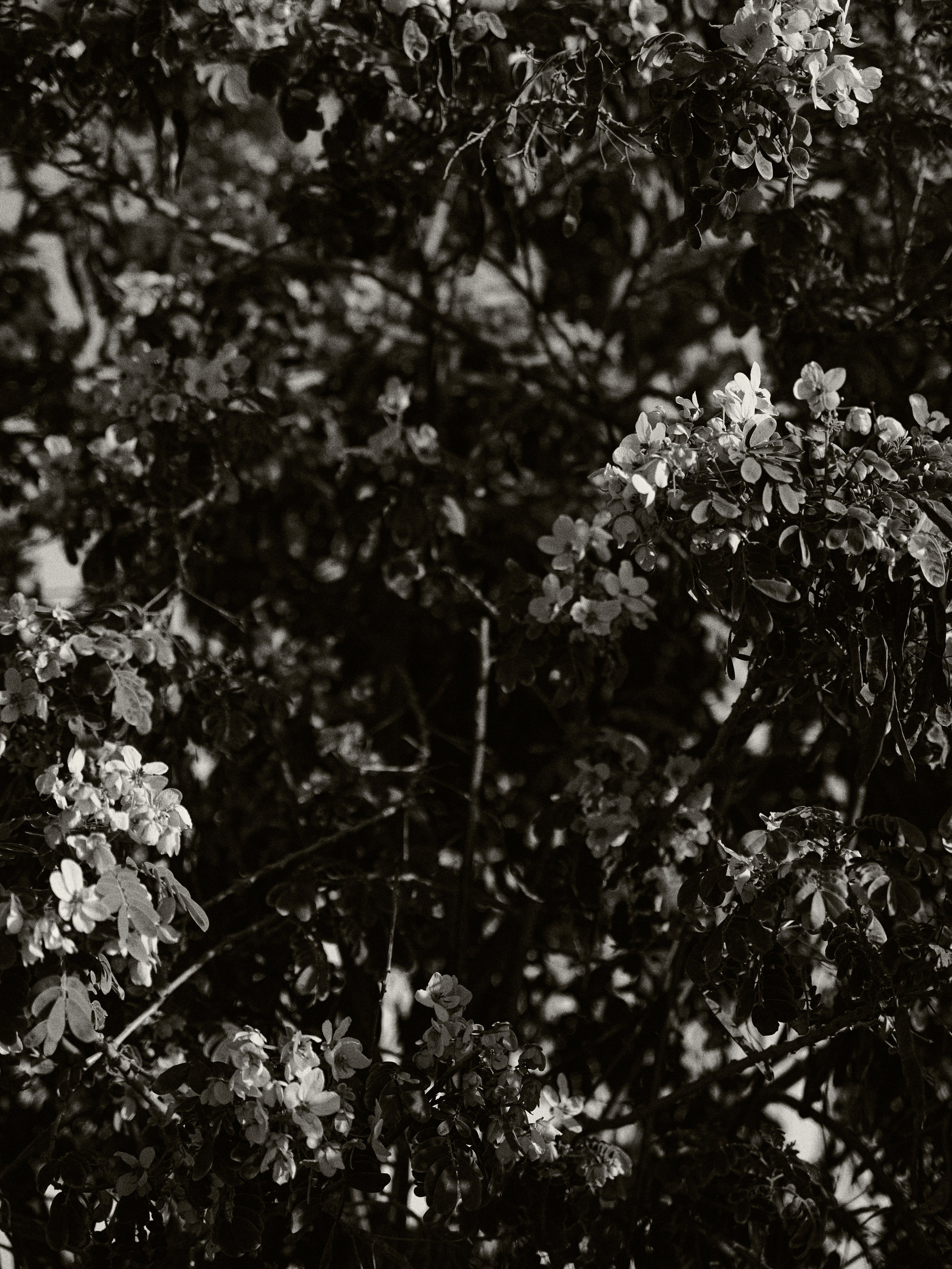 B&W. Jorgis — фотограф в Хургаде / обучение фотографии