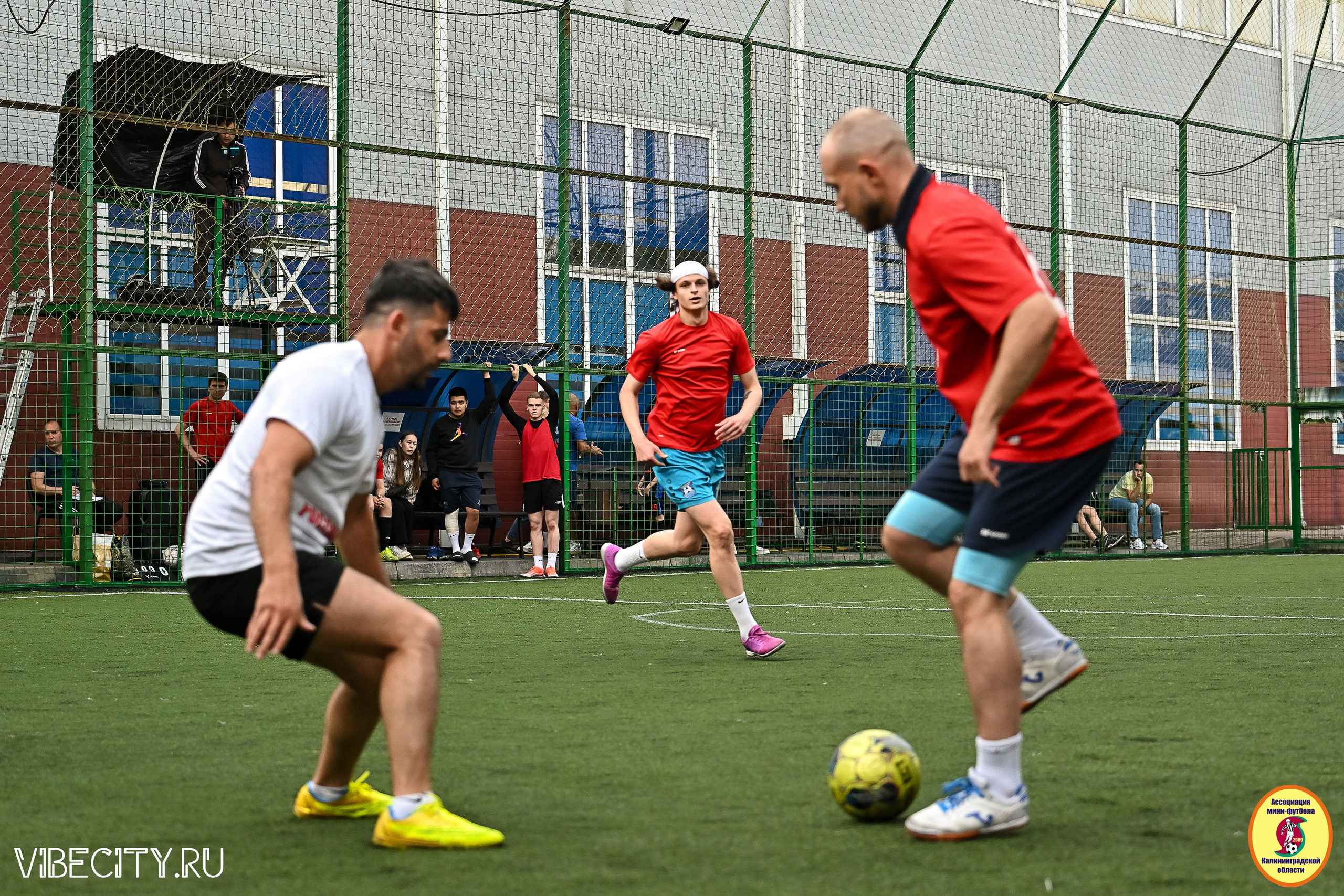 ИГРЫ МИНИ-ФУТБОЛЬНОЙ И КОРПОРАТИВНОЙ ЛИГИ. VIBECITY.RU Вайб Сити Ру Фоторепортажи Фотоотчеты Калининград