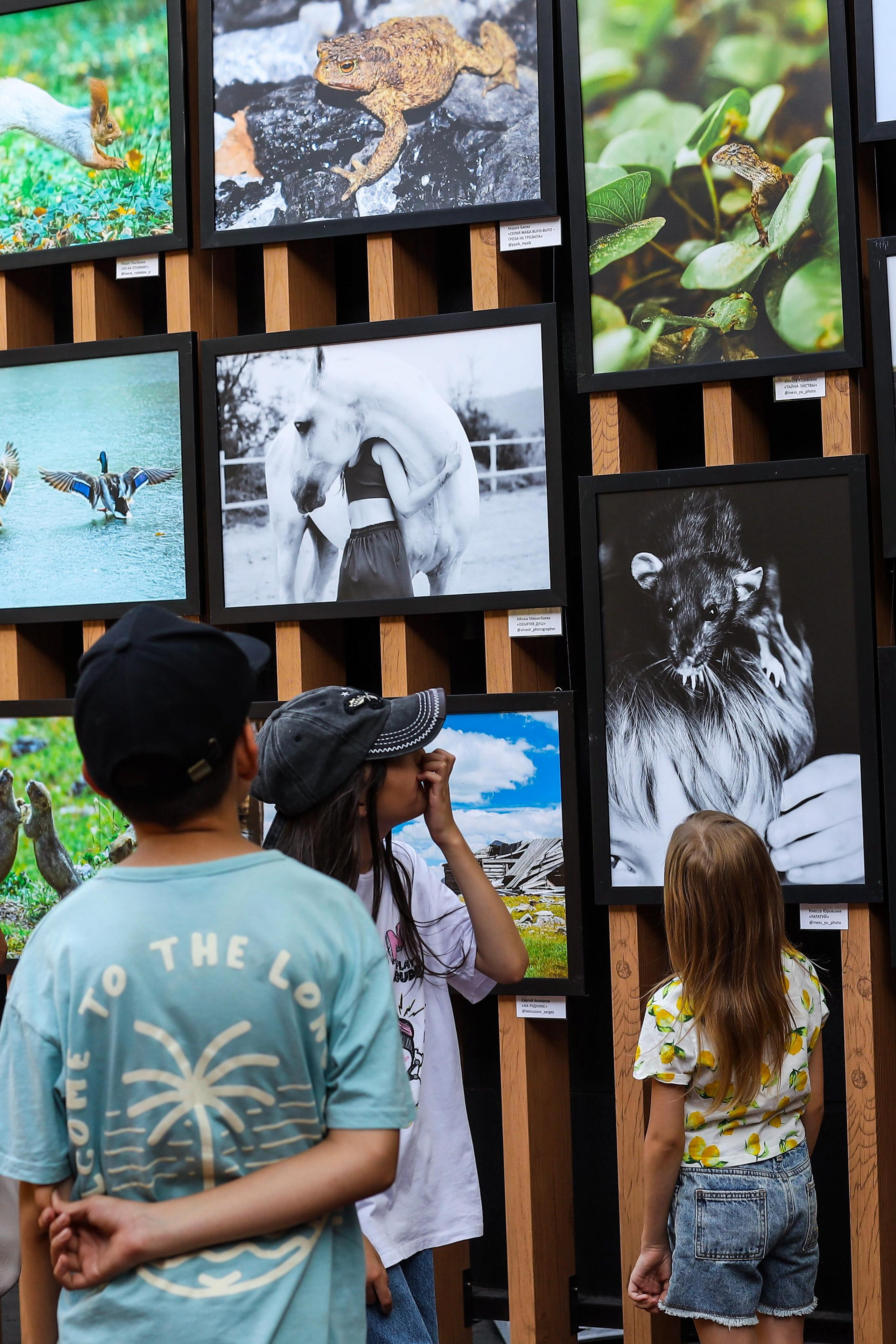 Выставки. Семейный и детский фотограф в Алматы Юровских Инесса