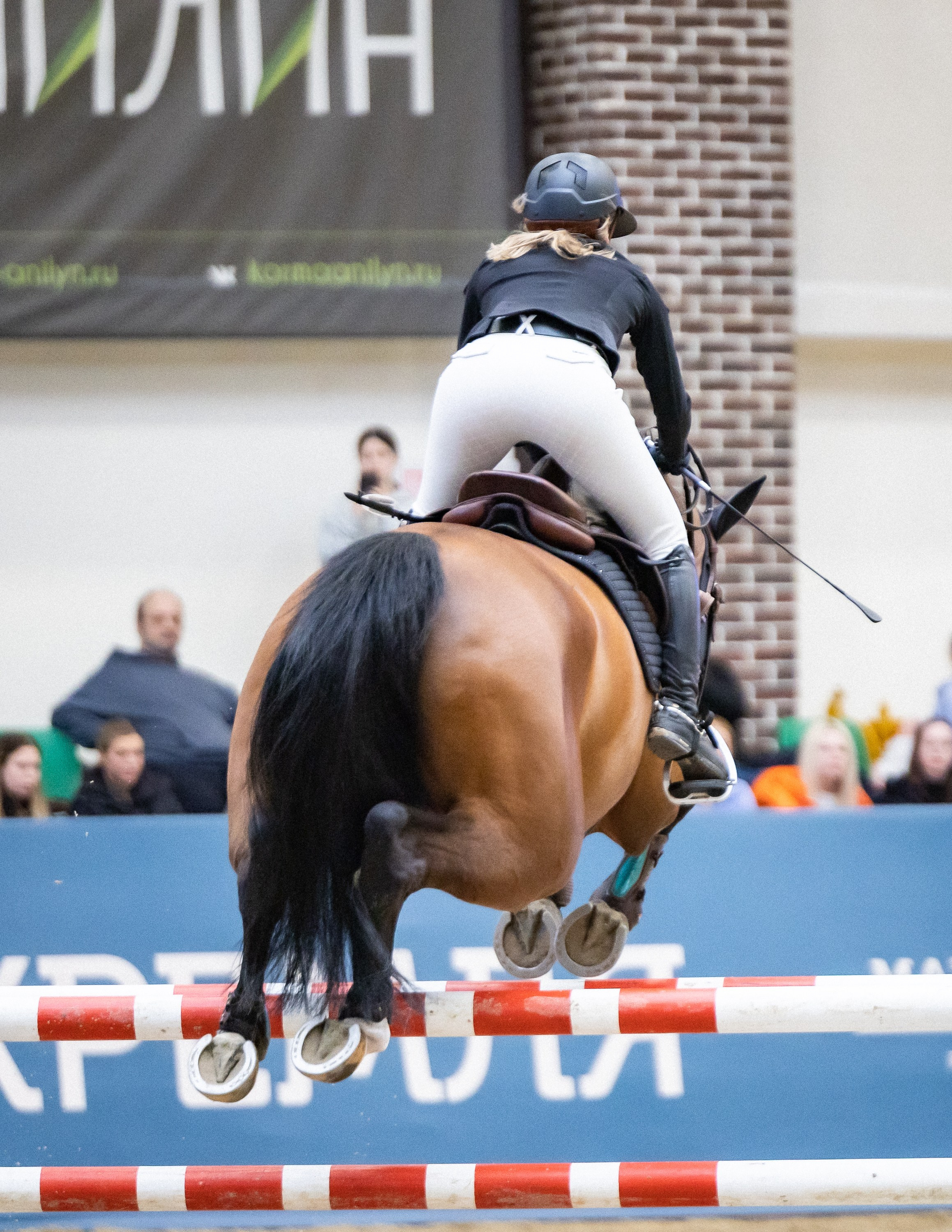 Кубок Кремля по Конкуру 12.04.25. Фотограф Владимир Охрименко