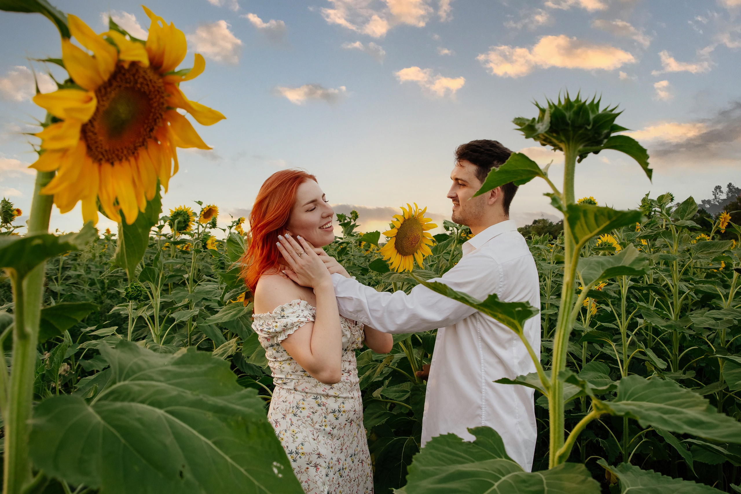 Подсолнухи. Свадебный и семейный фотограф в Краснодаре Илонна Ковалева