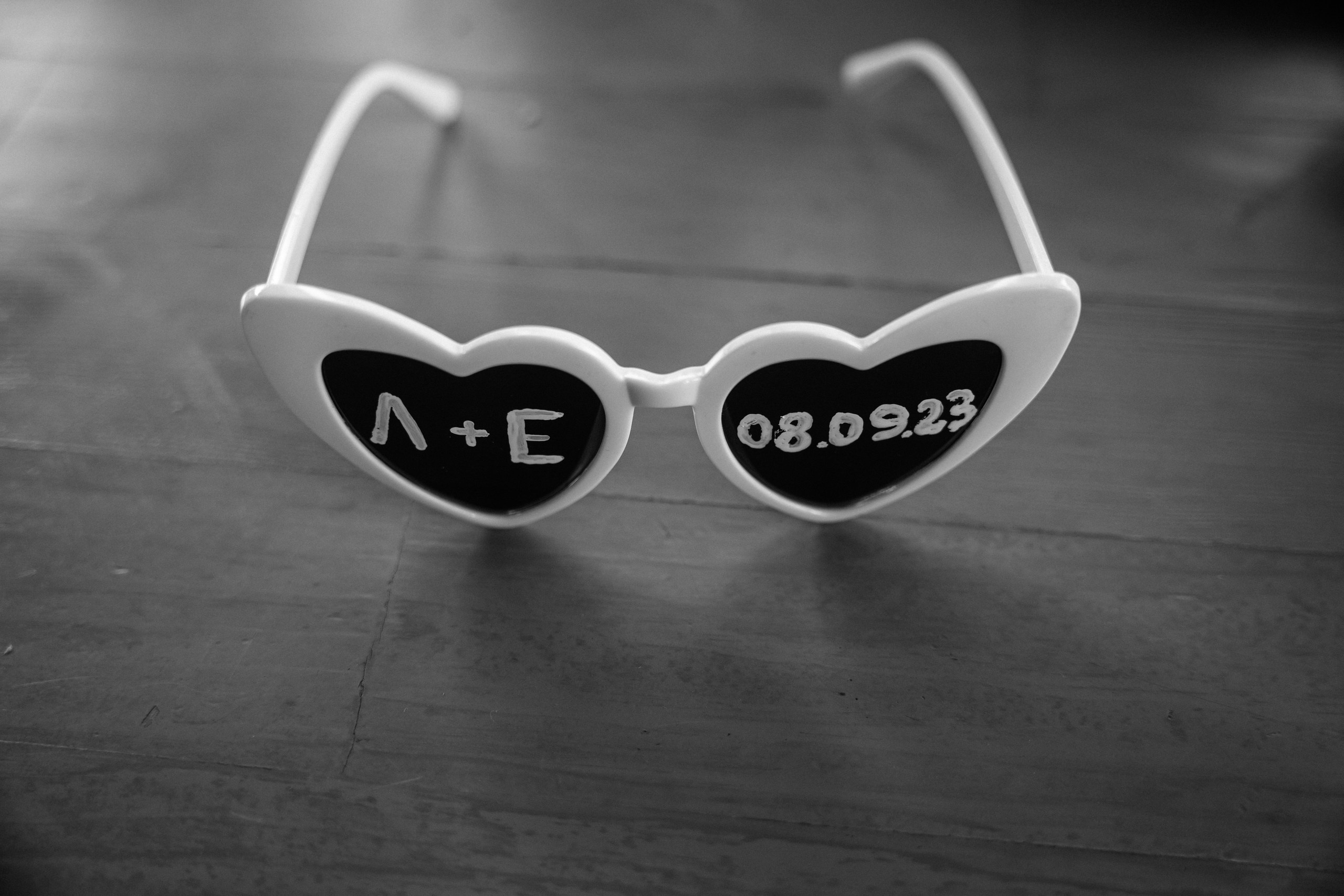 Лев и Лиза. Фотограф Томск, Новосибирск Влад Свириденко