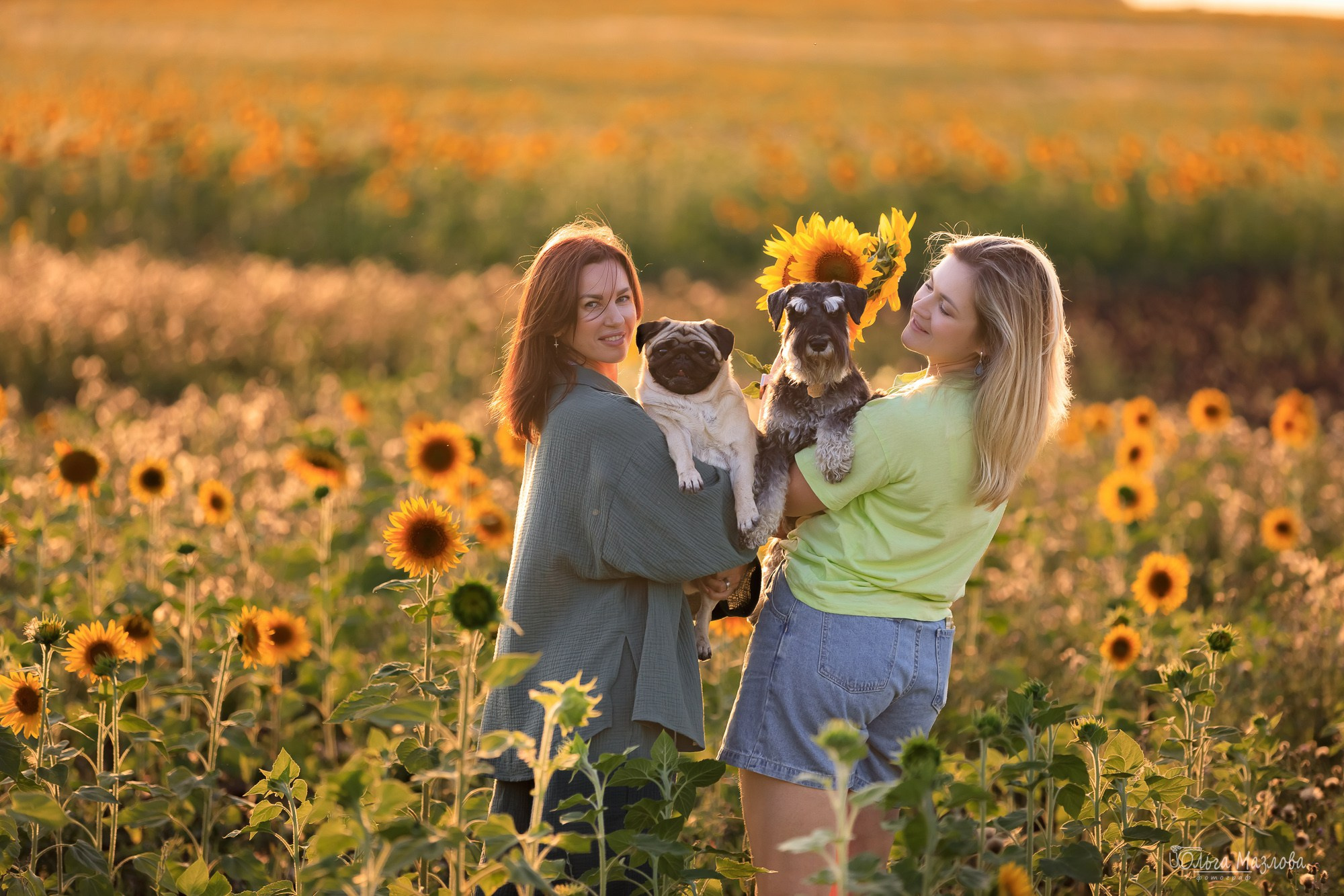 анималист в Саратове