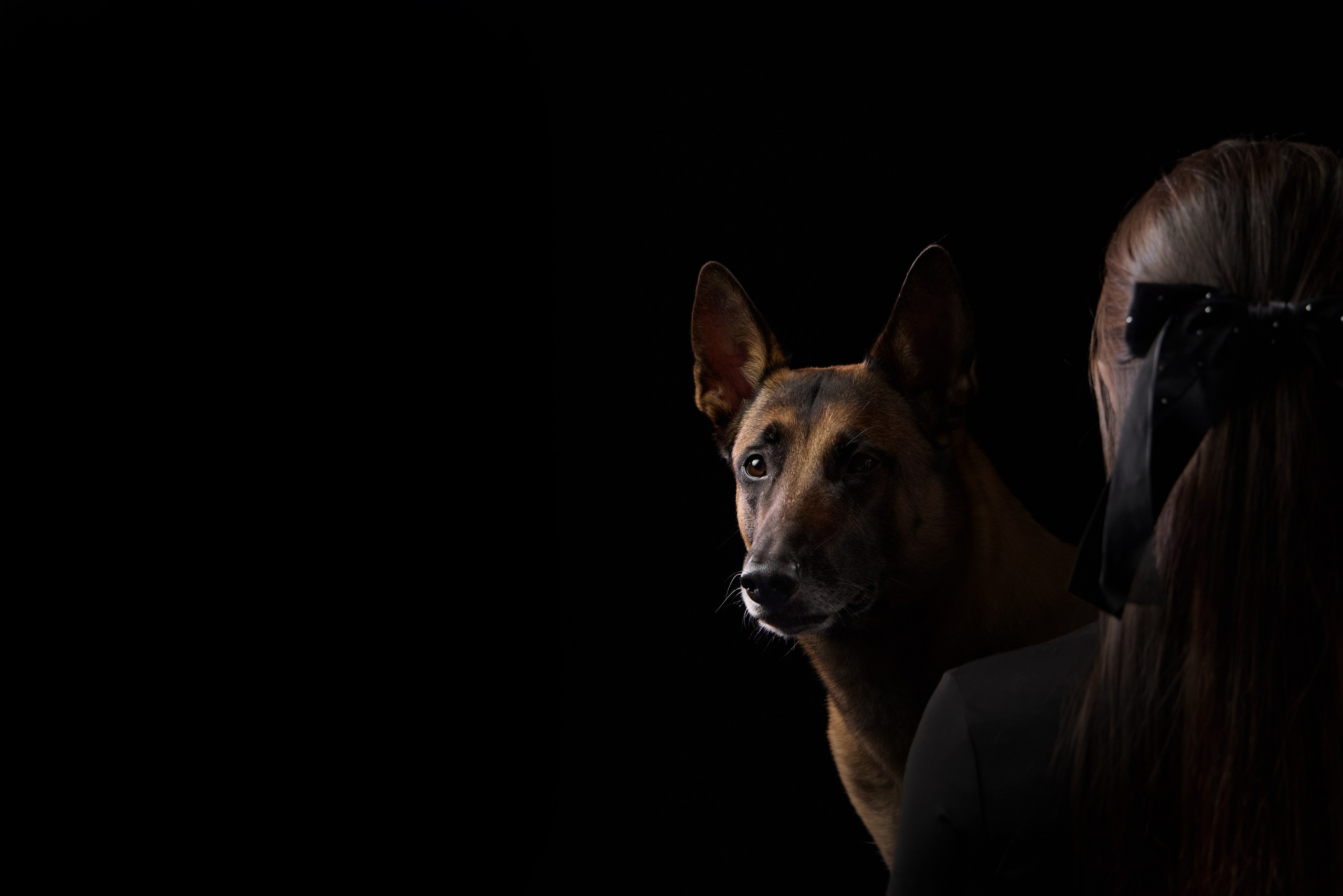 Presence. Dog Photographer Anna Averianova | Art & Commercial Pet Photography