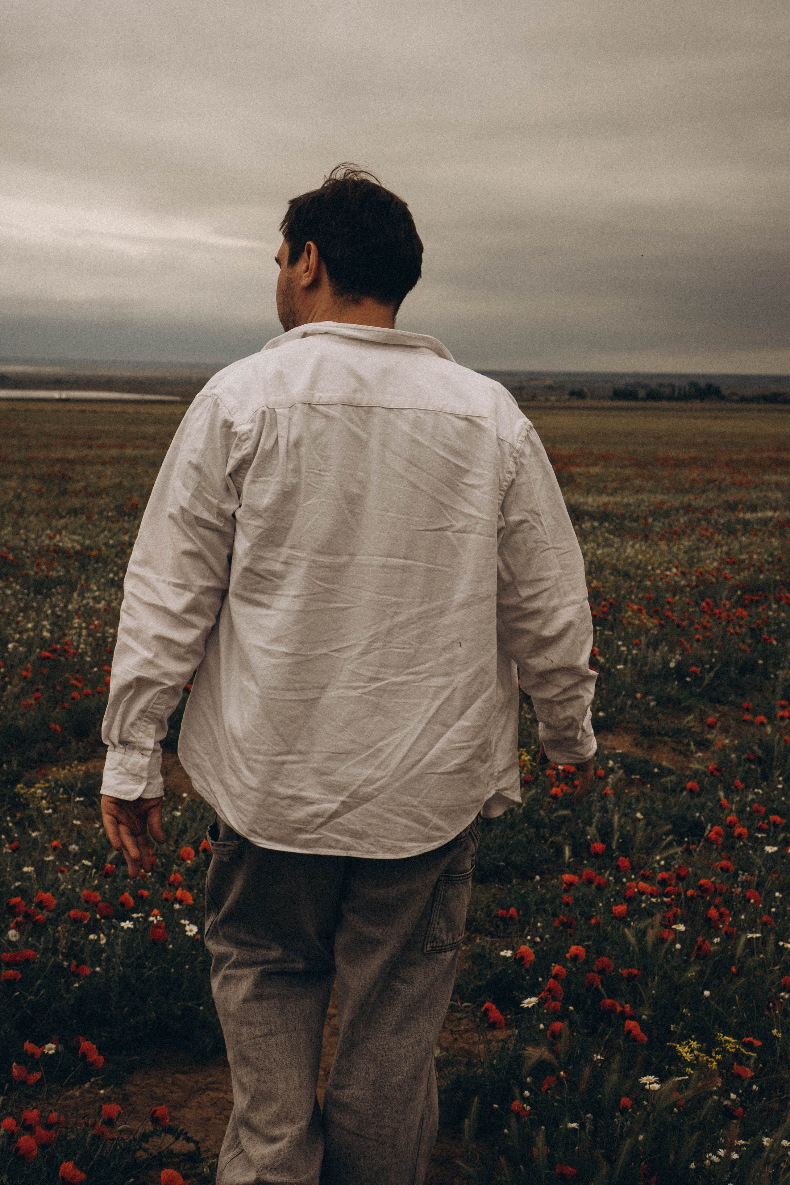 Маки. Профессиональный фотограф, Санкт-Петербург — Виктория Богомолова